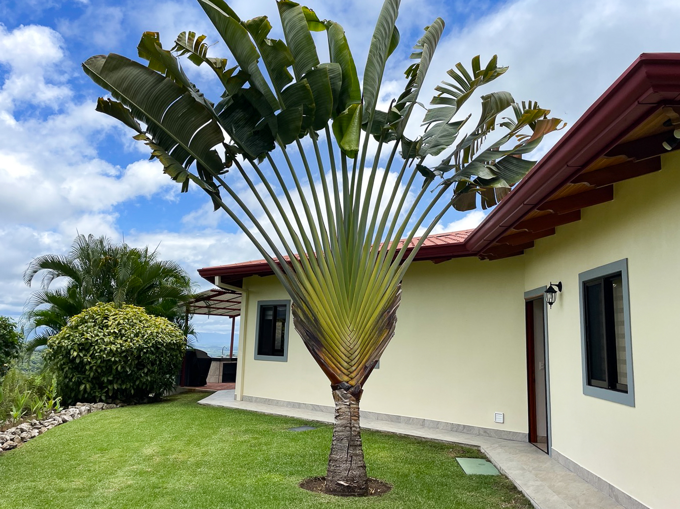 3 bed Single Family Homes For Sale in Ojochal, Puntarenas - thumb 7