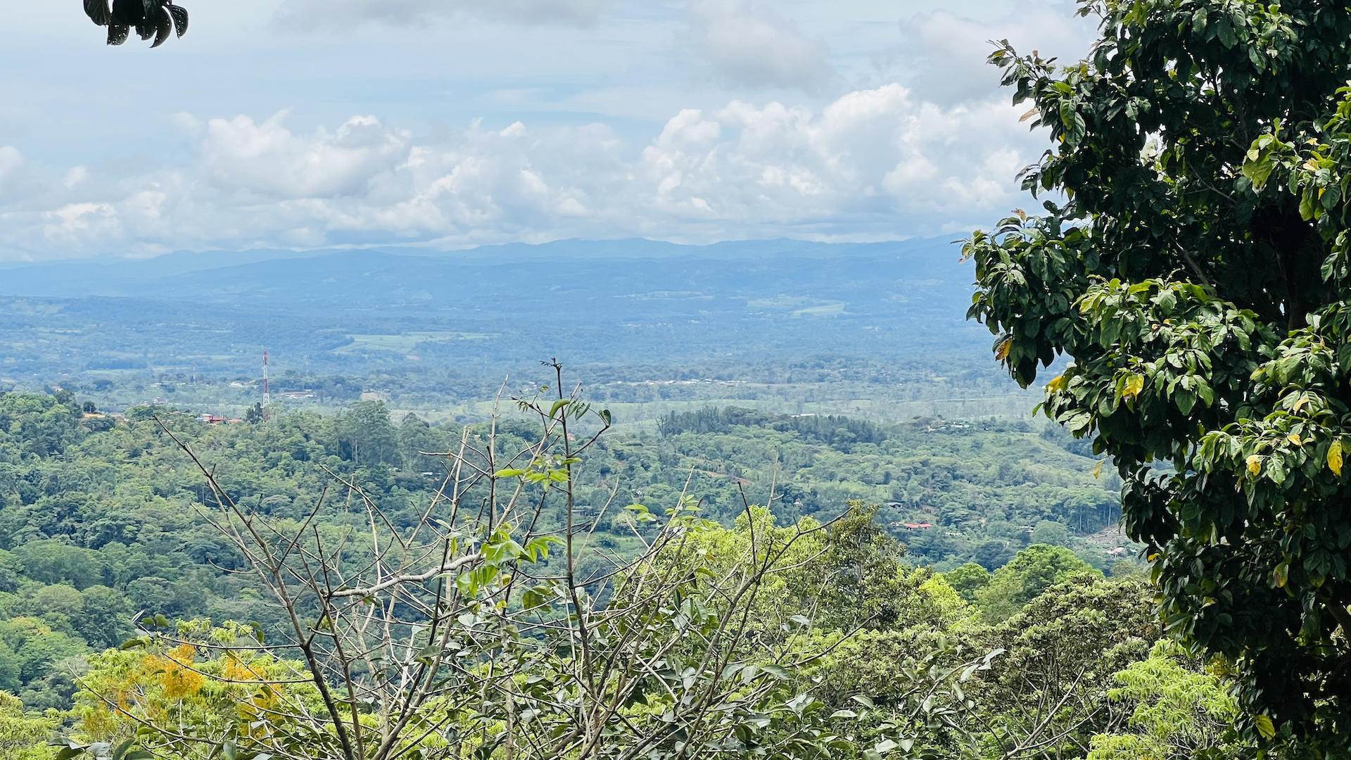 3 bed Single Family Homes For Sale in Perez Zeledon, San Jose - thumb 25