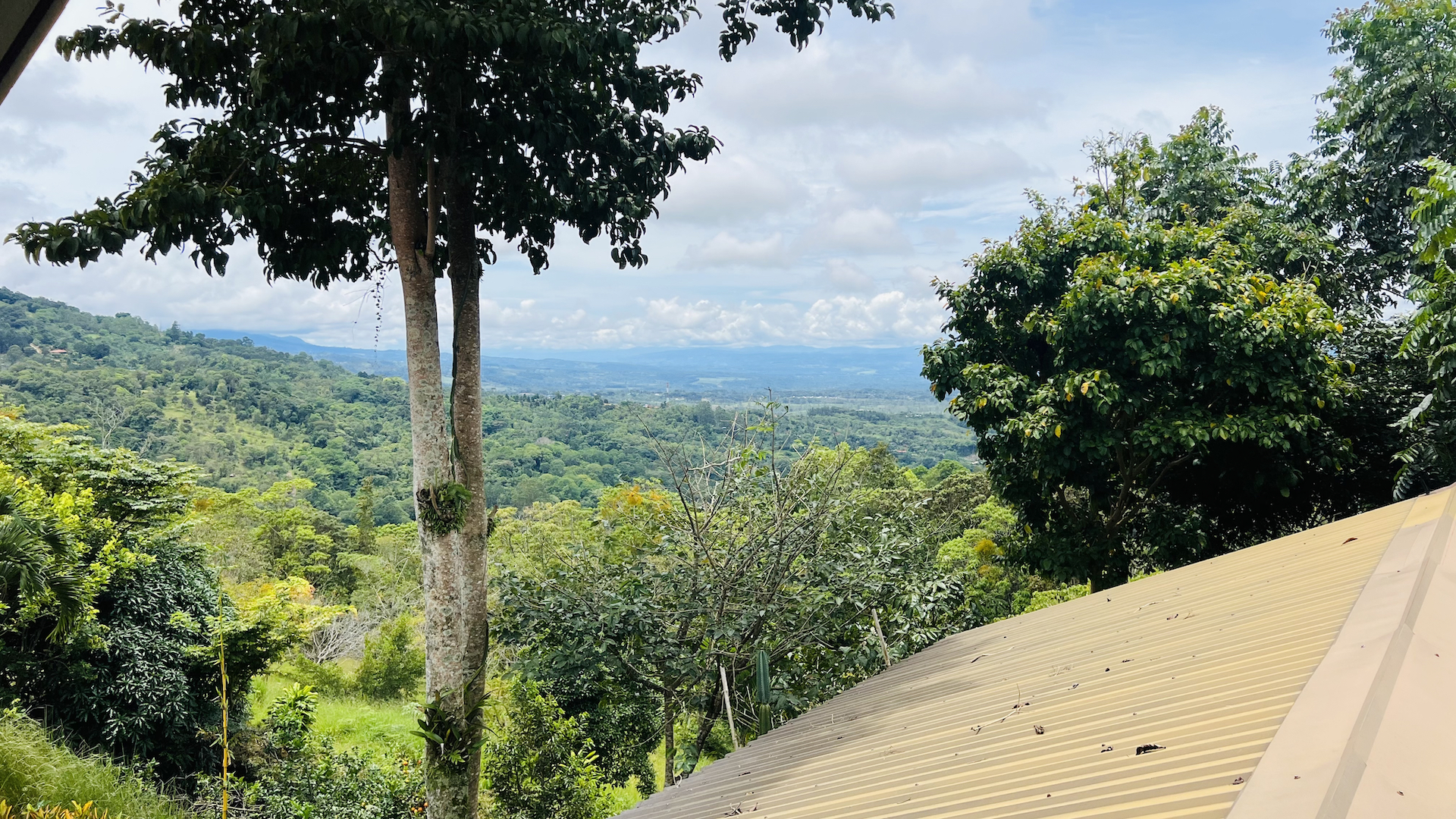 3 bed Single Family Homes For Sale in Perez Zeledon, San Jose - thumb 21