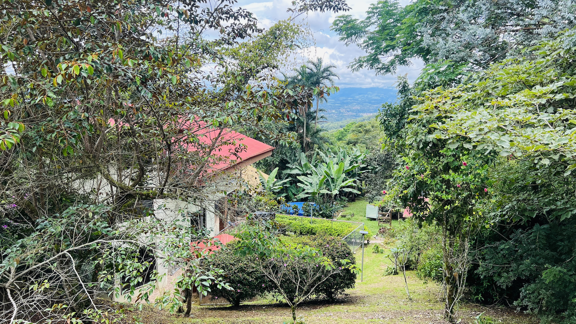 3 bed Single Family Homes For Sale in Perez Zeledon, San Jose - thumb 23