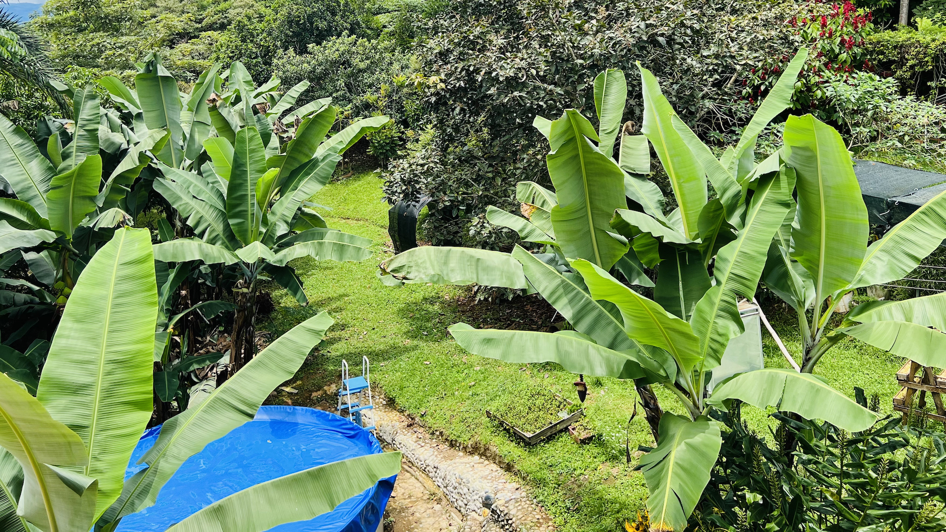 3 bed Single Family Homes For Sale in Perez Zeledon, San Jose - thumb 20