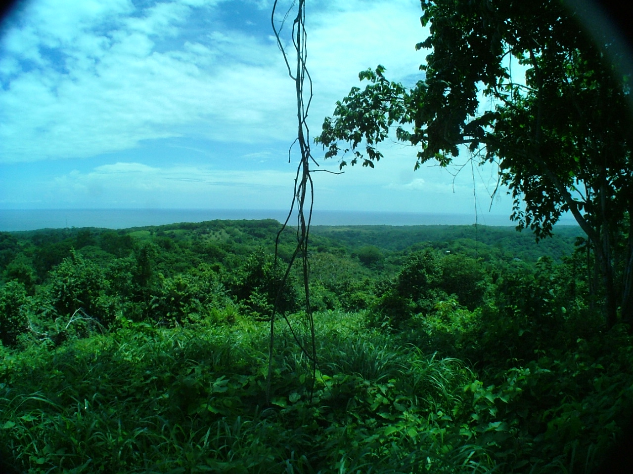 0 bed Land For Sale in Ostional, Guanacaste - thumb 3