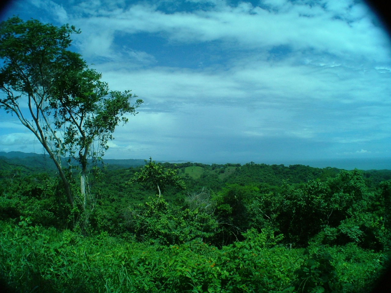 0 bed Land For Sale in Ostional, Guanacaste - thumb 2