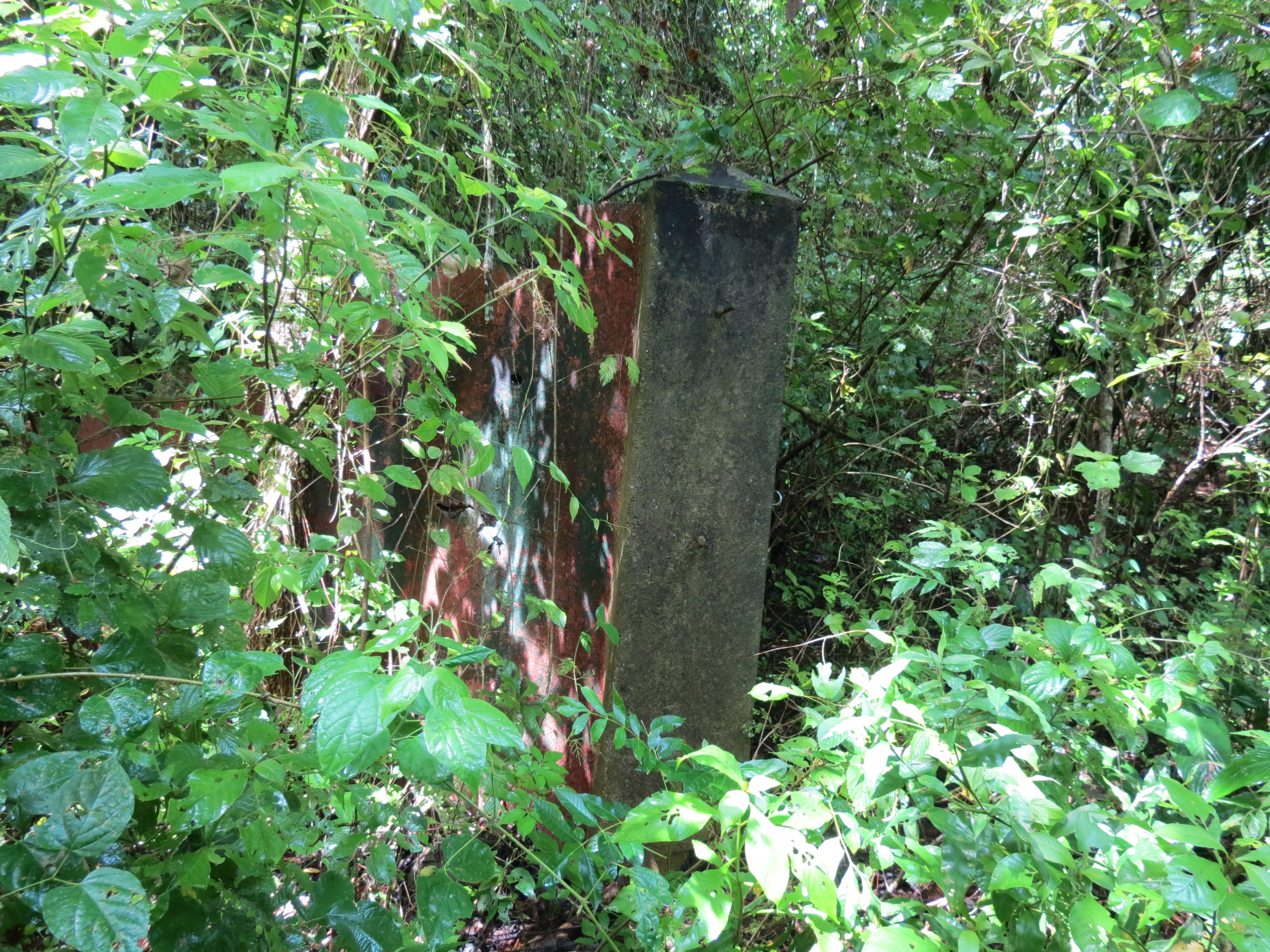 0 bed Land For Sale in Ostional, Guanacaste - thumb 8