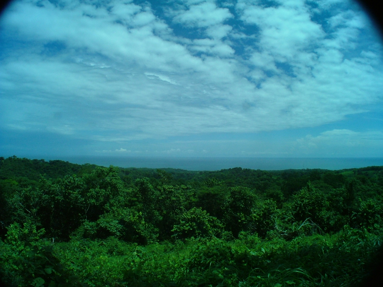 0 bed Land For Sale in Ostional, Guanacaste - thumb 1