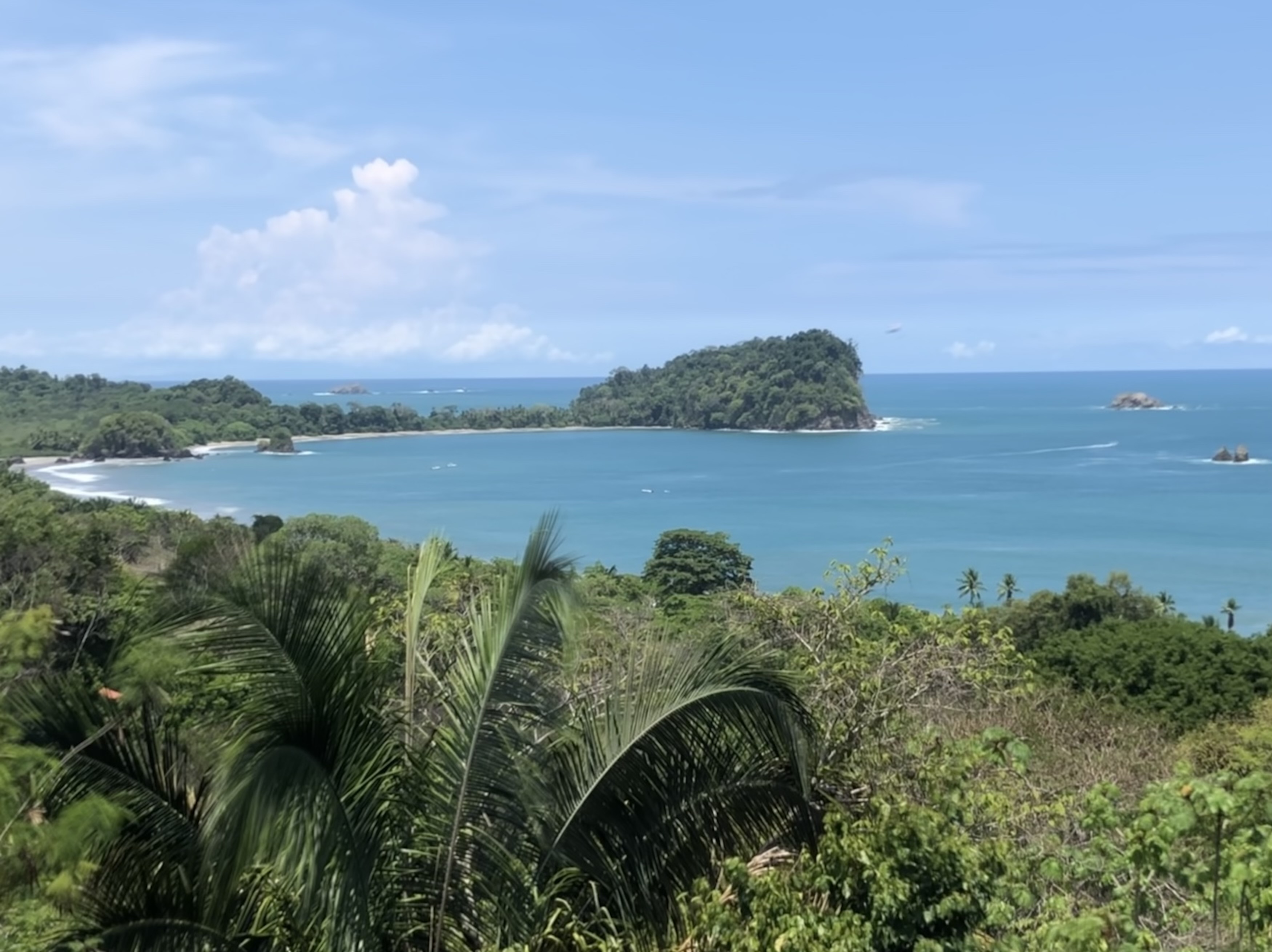 10 bed Single Family Homes For Sale in Manuel Antonio, Puntarenas - thumb 6