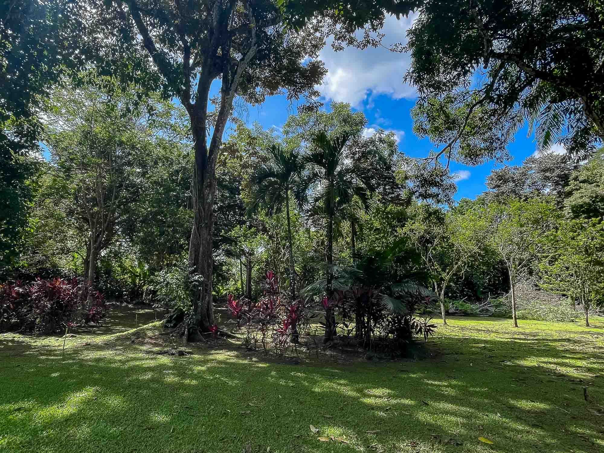 0 bed Land For Sale in Quepos, Puntarenas - thumb 11