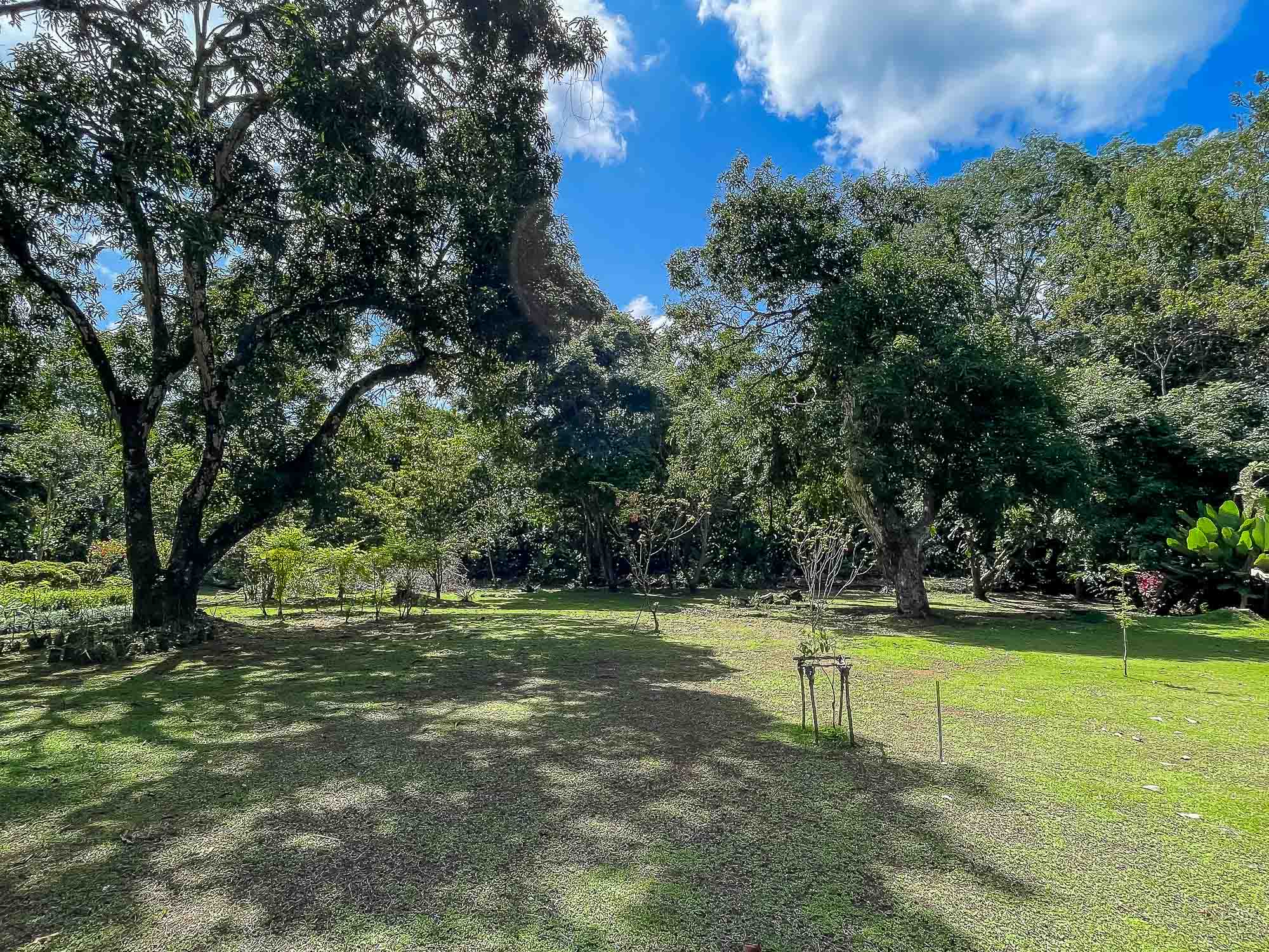 0 bed Land For Sale in Quepos, Puntarenas - thumb 13