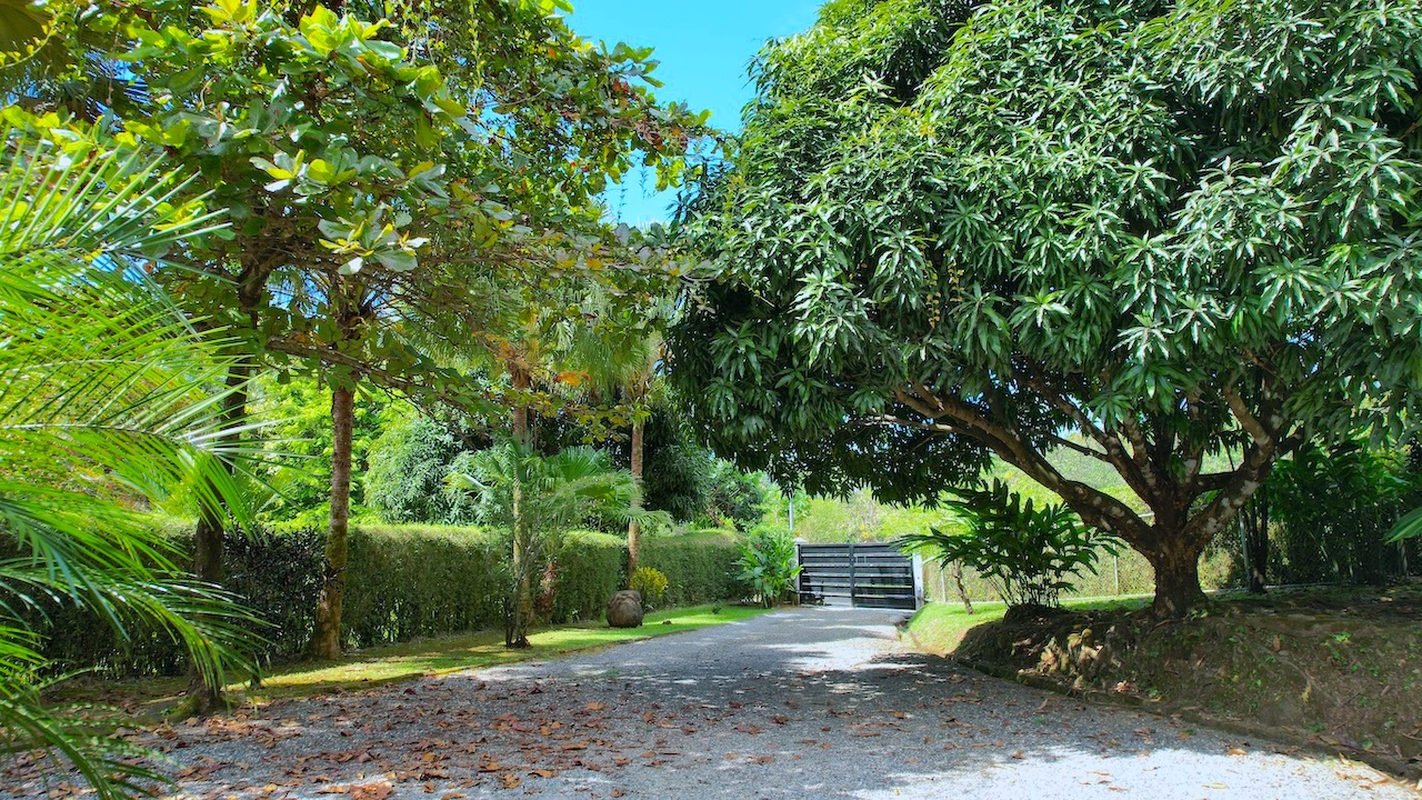 2 bed Single Family Homes For Sale in Ojochal, Puntarenas - thumb 7