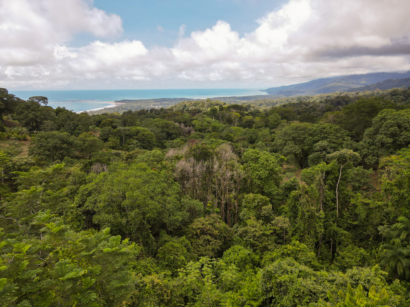 2 bed Single Family Homes For Sale in Uvita, Puntarenas - thumb 28