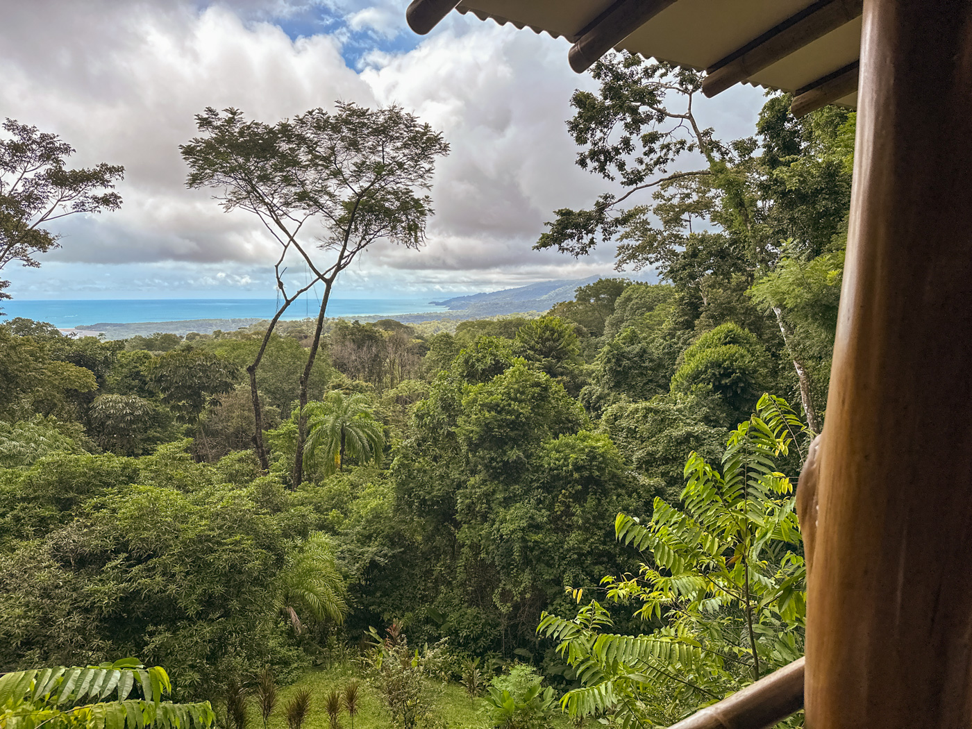 2 bed Single Family Homes For Sale in Uvita, Puntarenas - thumb 5