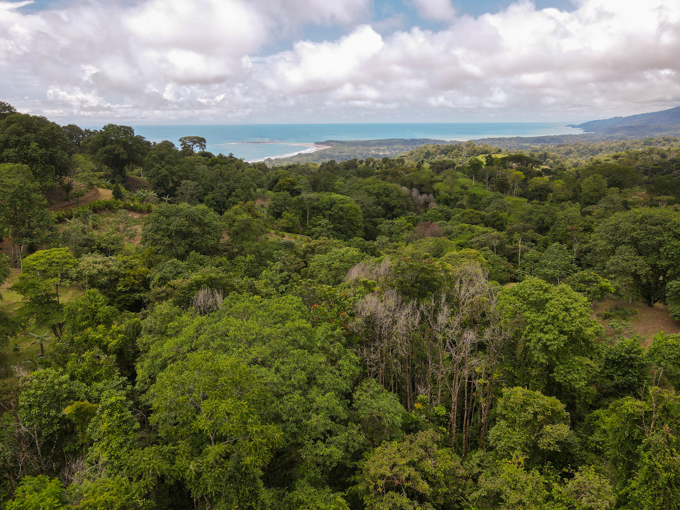 2 bed Single Family Homes For Sale in Uvita, Puntarenas - thumb 27