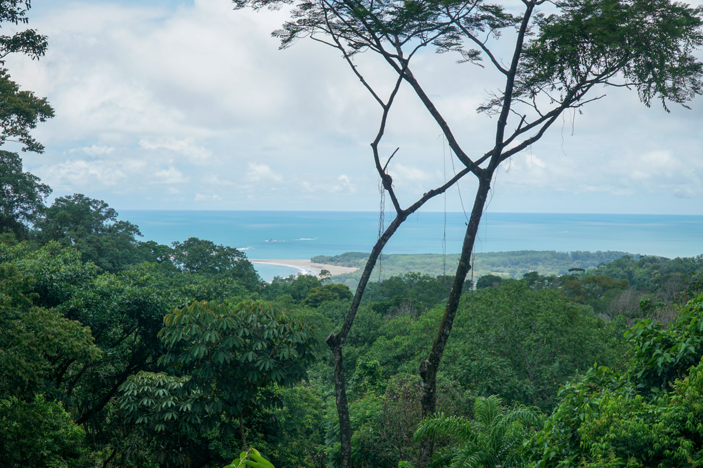 2 bed Single Family Homes For Sale in Uvita, Puntarenas - thumb 6