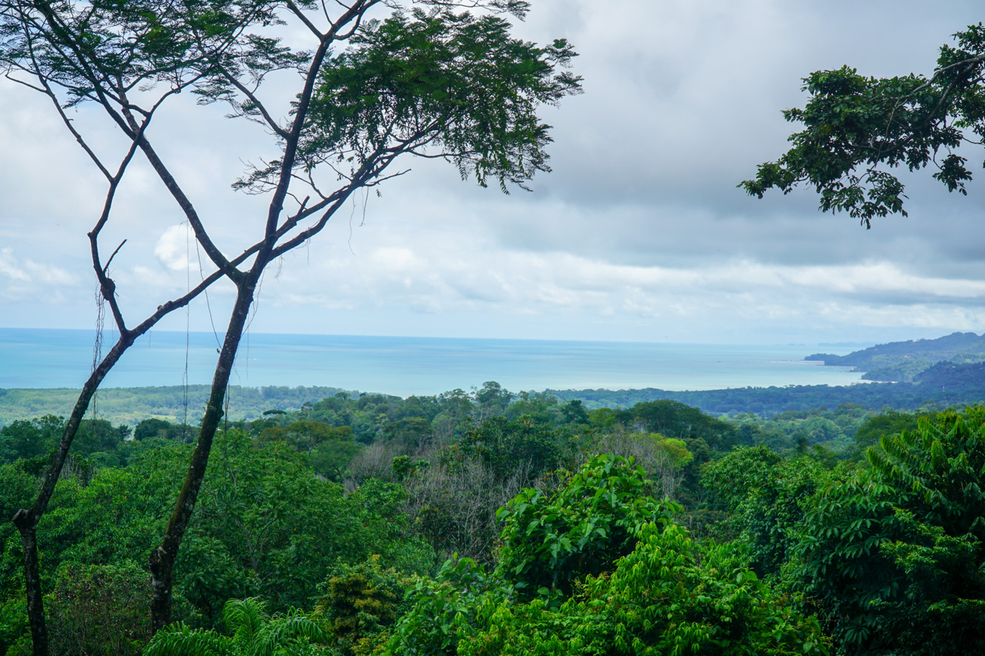 2 bed Single Family Homes For Sale in Uvita, Puntarenas - thumb 7