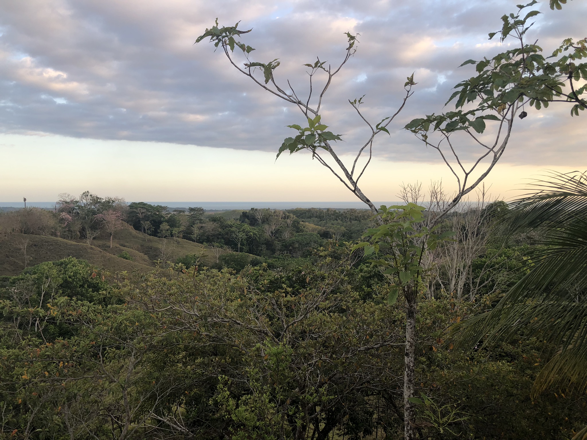 2 bed Single Family Homes For Sale in Parrita, Puntarenas - thumb 4