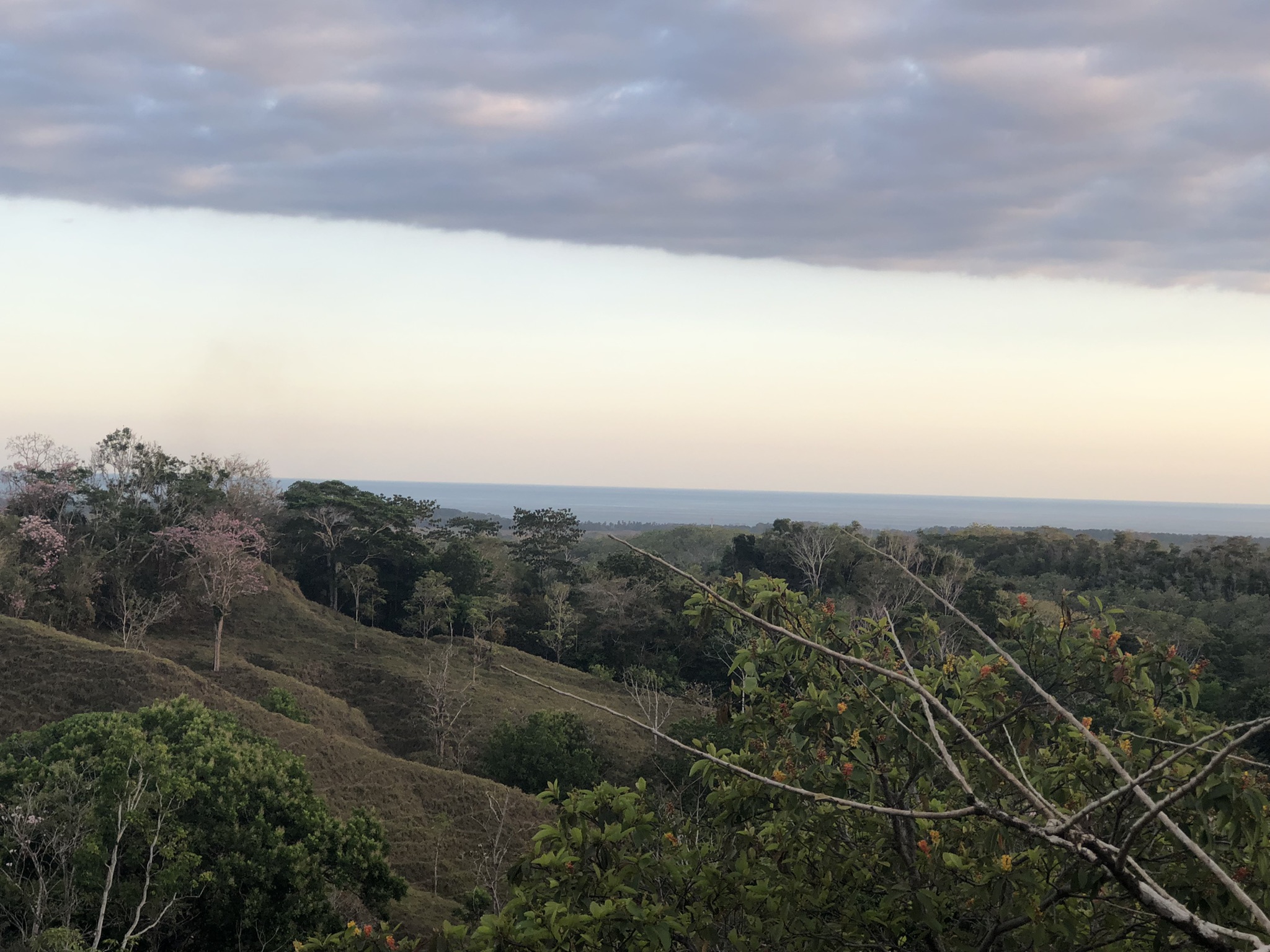 2 bed Single Family Homes For Sale in Parrita, Puntarenas - thumb 10