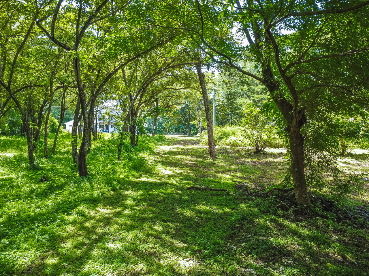 0 bed Land For Sale in Playa Negra, Guanacaste - thumb 7