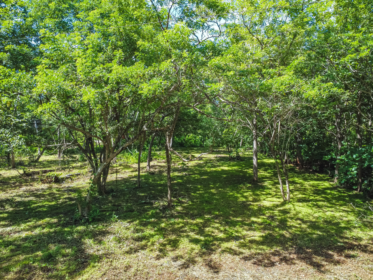 0 bed Land For Sale in Playa Negra, Guanacaste - thumb 8