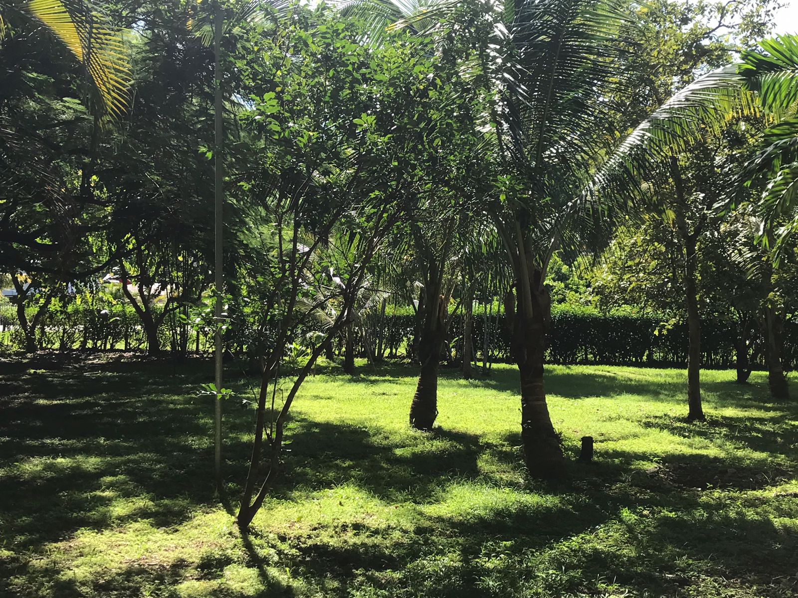 0 bed Land For Sale in Samara, Guanacaste - thumb 1