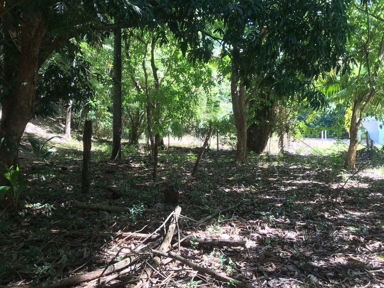 0 bed Land For Sale in Samara, Guanacaste - thumb 4