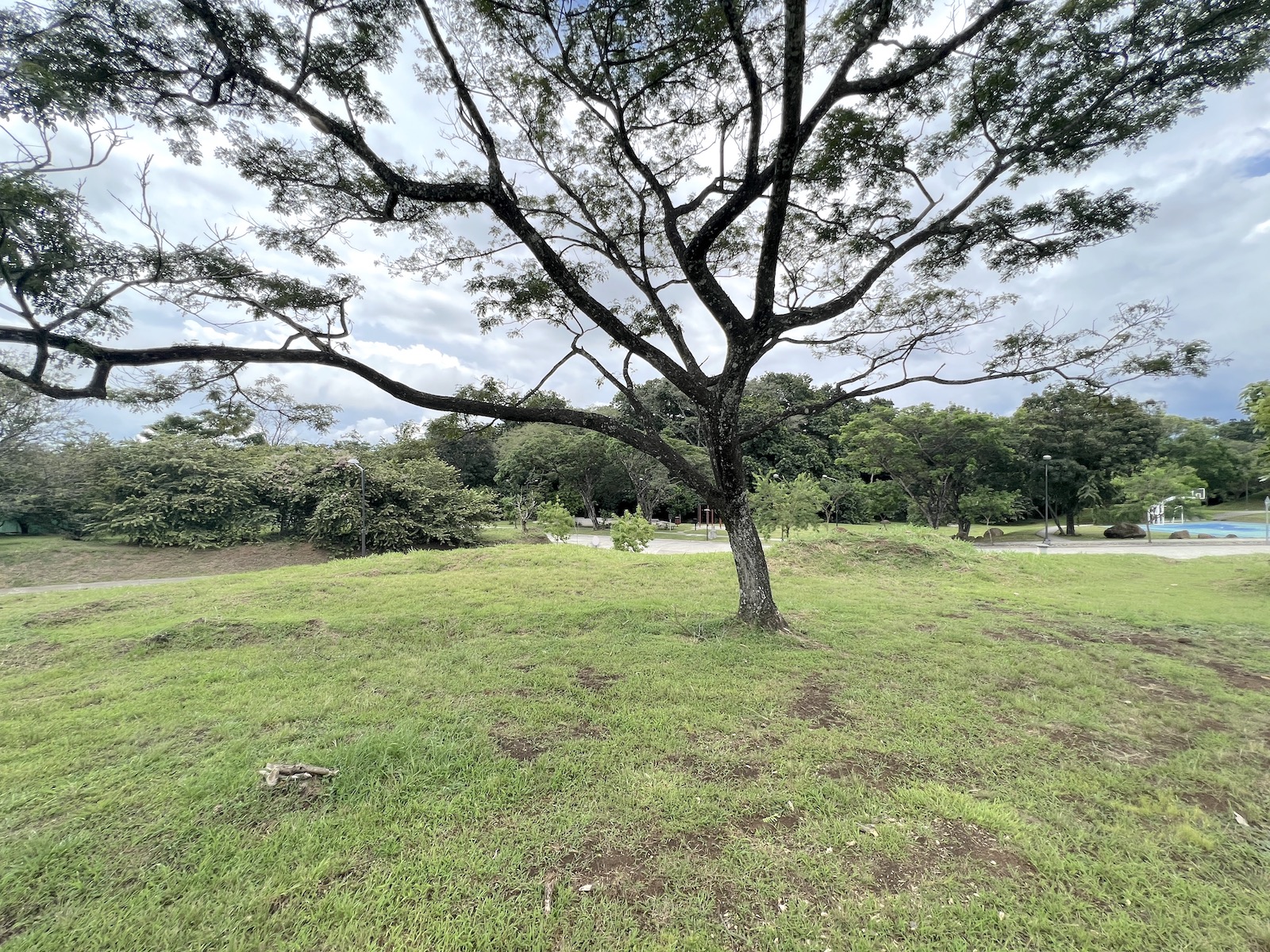 0 bed Land For Sale in San Rafael, Alajuela - thumb 1