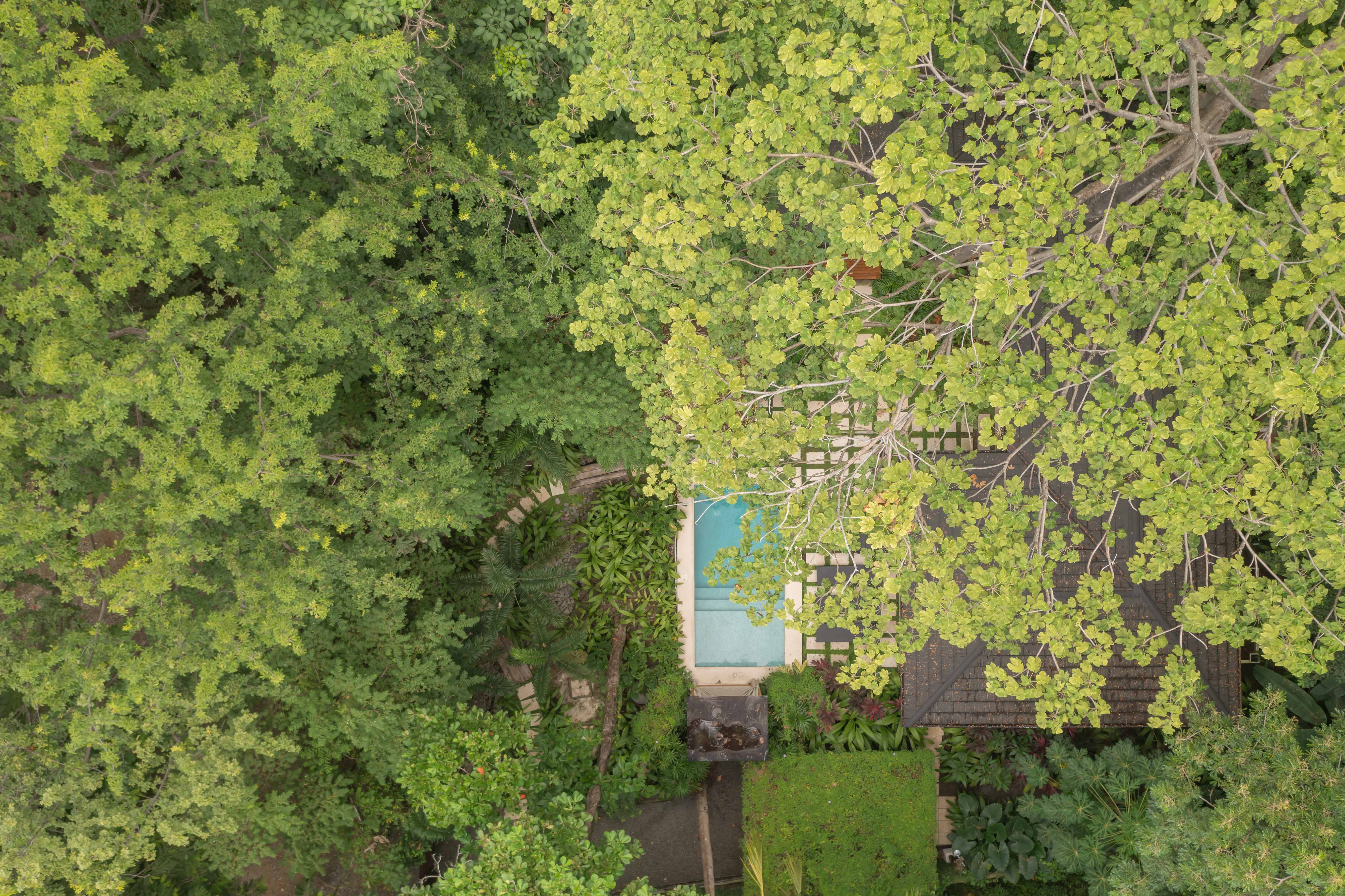 2 bed Single Family Homes For Sale in Santa Teresa, Puntarenas - thumb 30