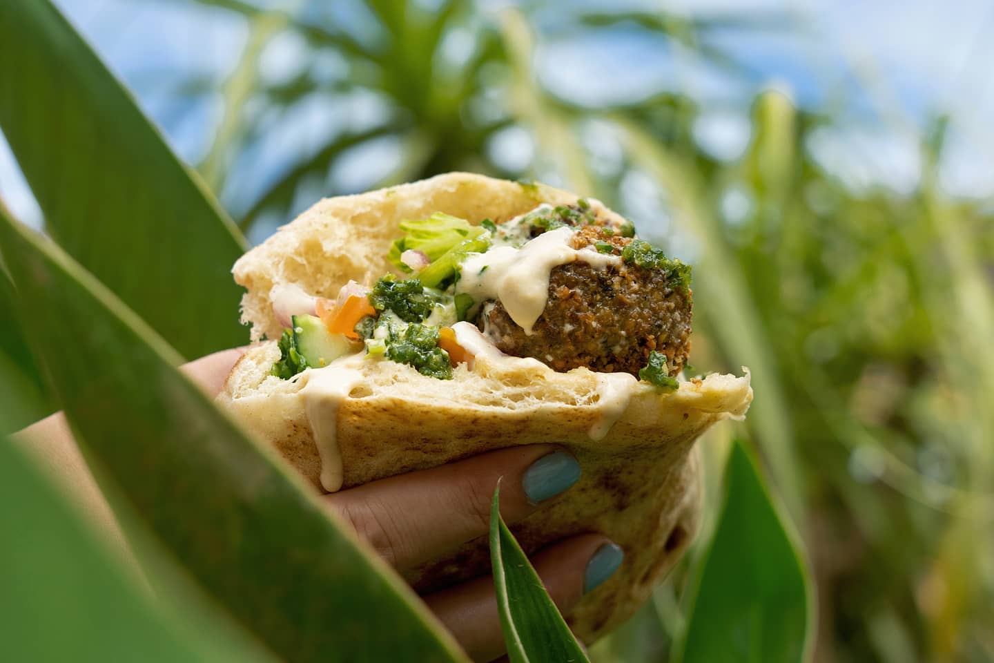 0 bed Commercial For Sale in Tamarindo, Guanacaste - thumb 13