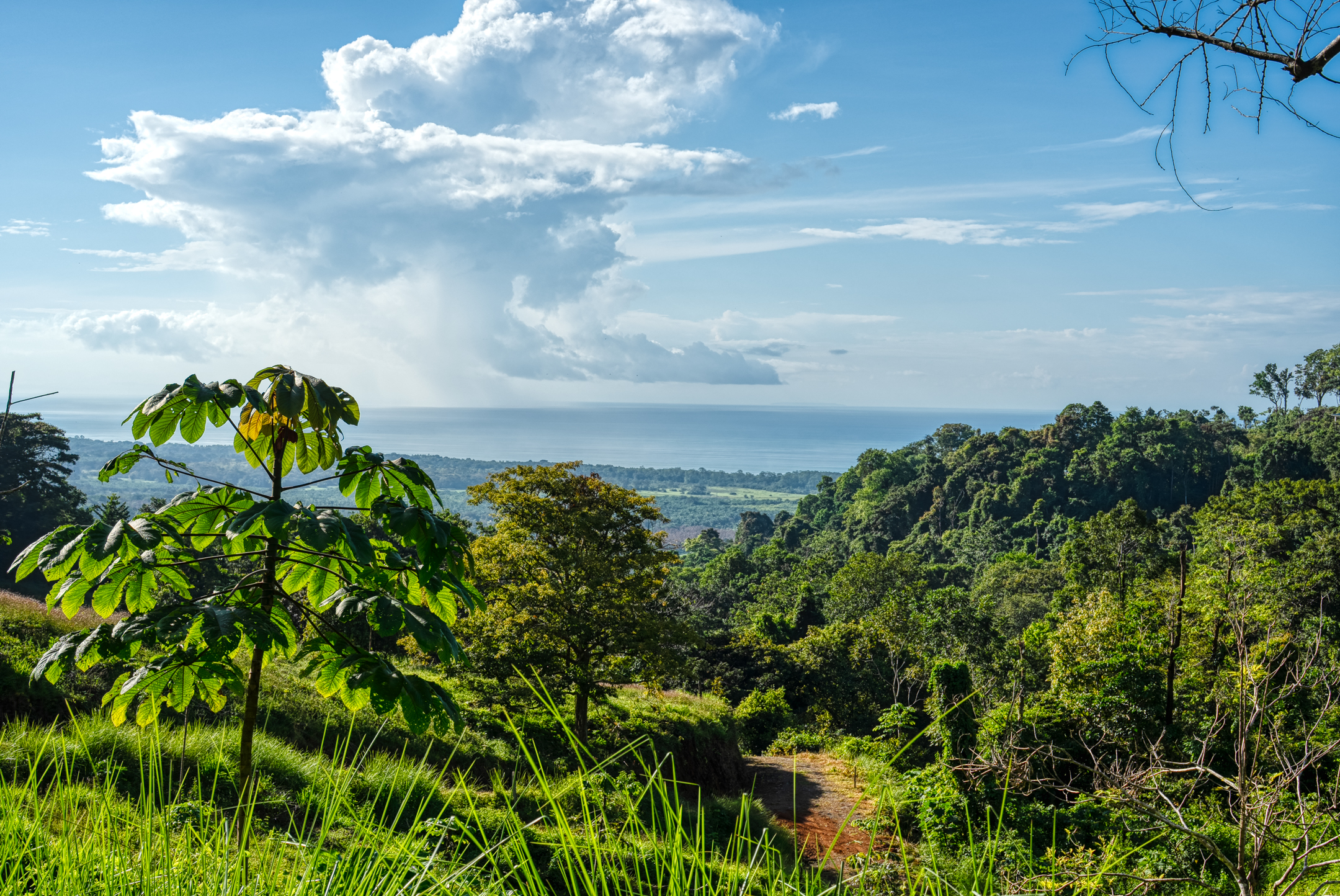 0 bed Land For Sale in Dominical, Puntarenas - thumb 13