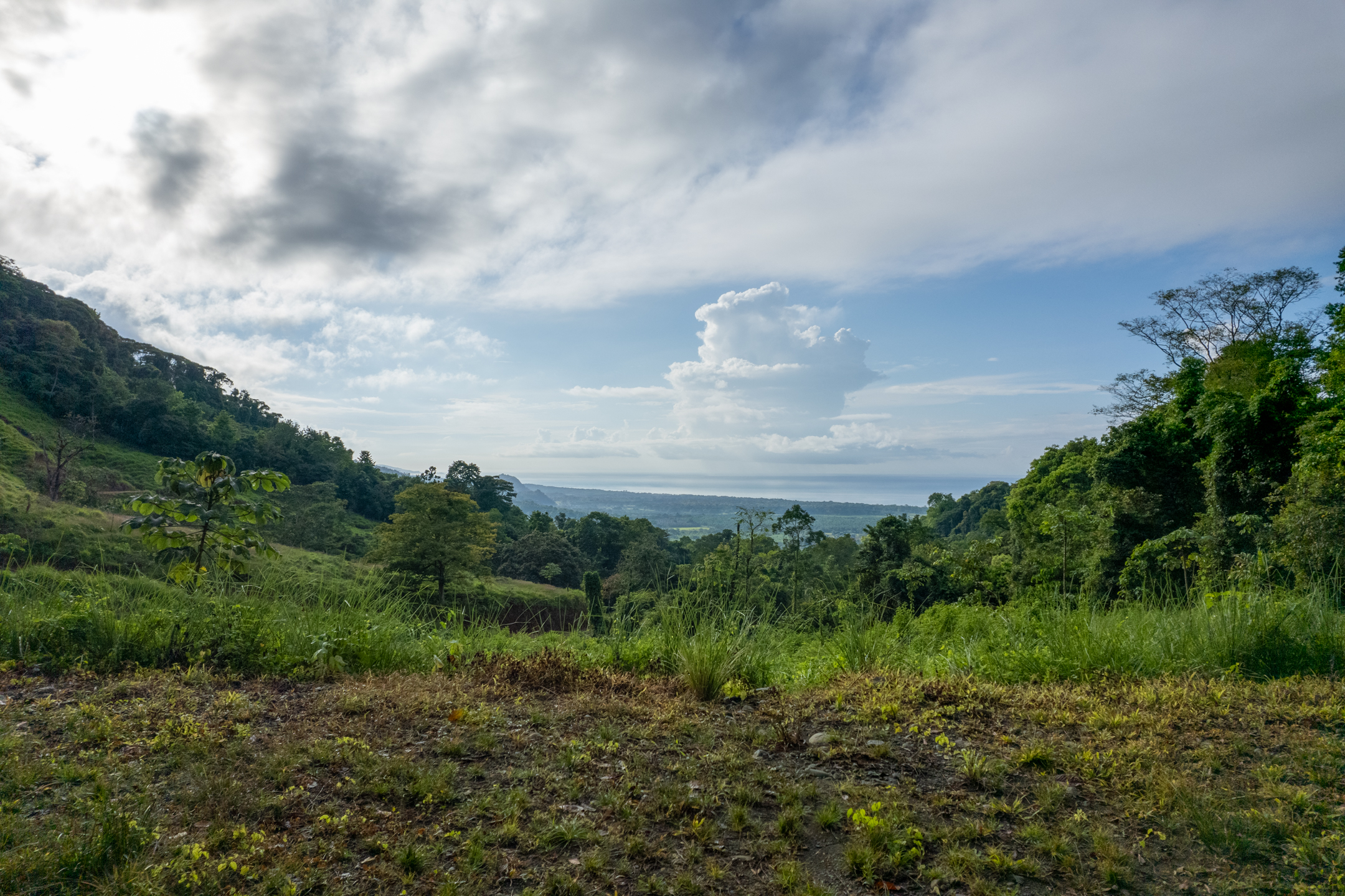 0 bed Land For Sale in Dominical, Puntarenas - thumb 15