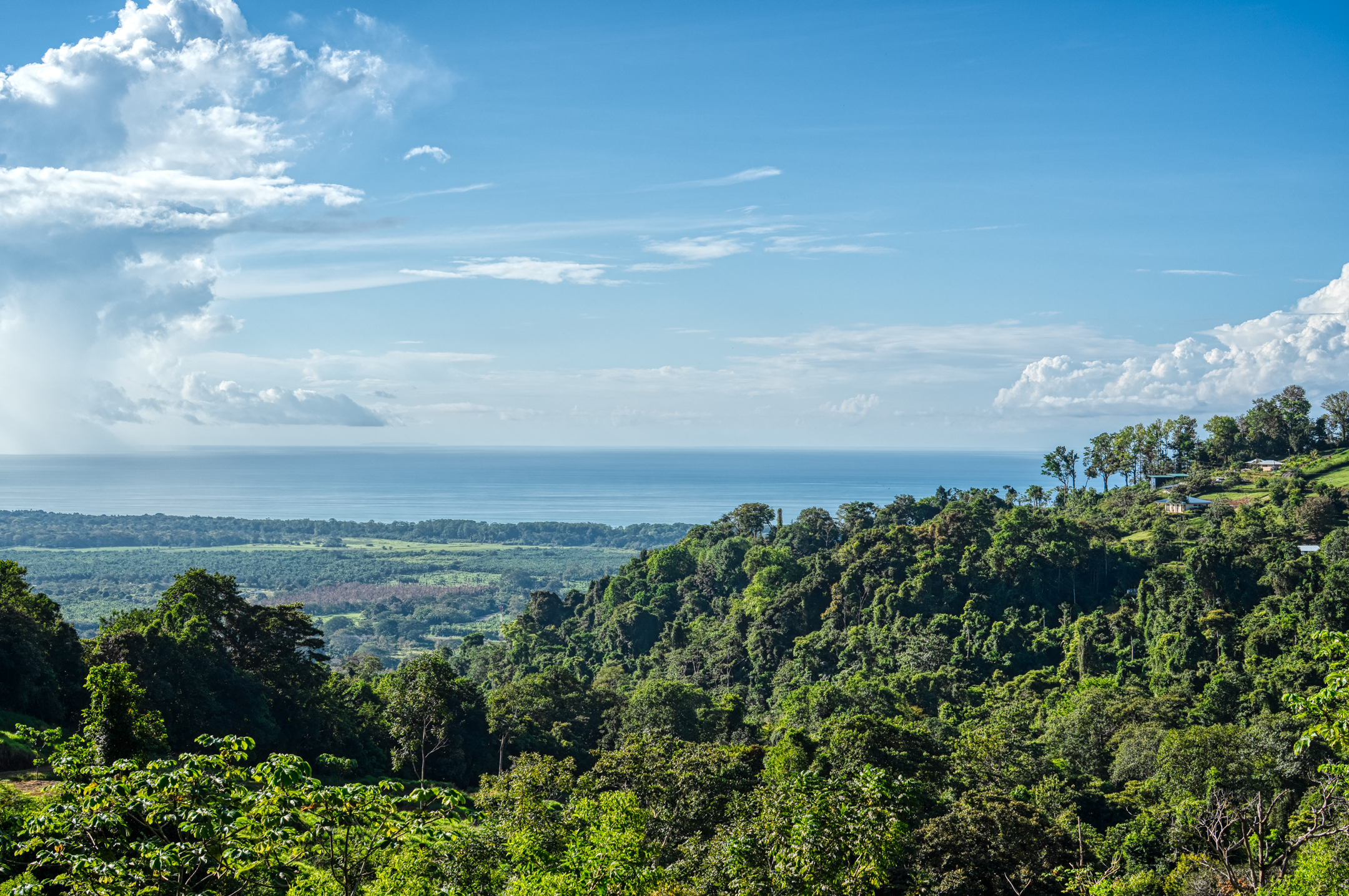 0 bed Land For Sale in Dominical, Puntarenas - thumb 12