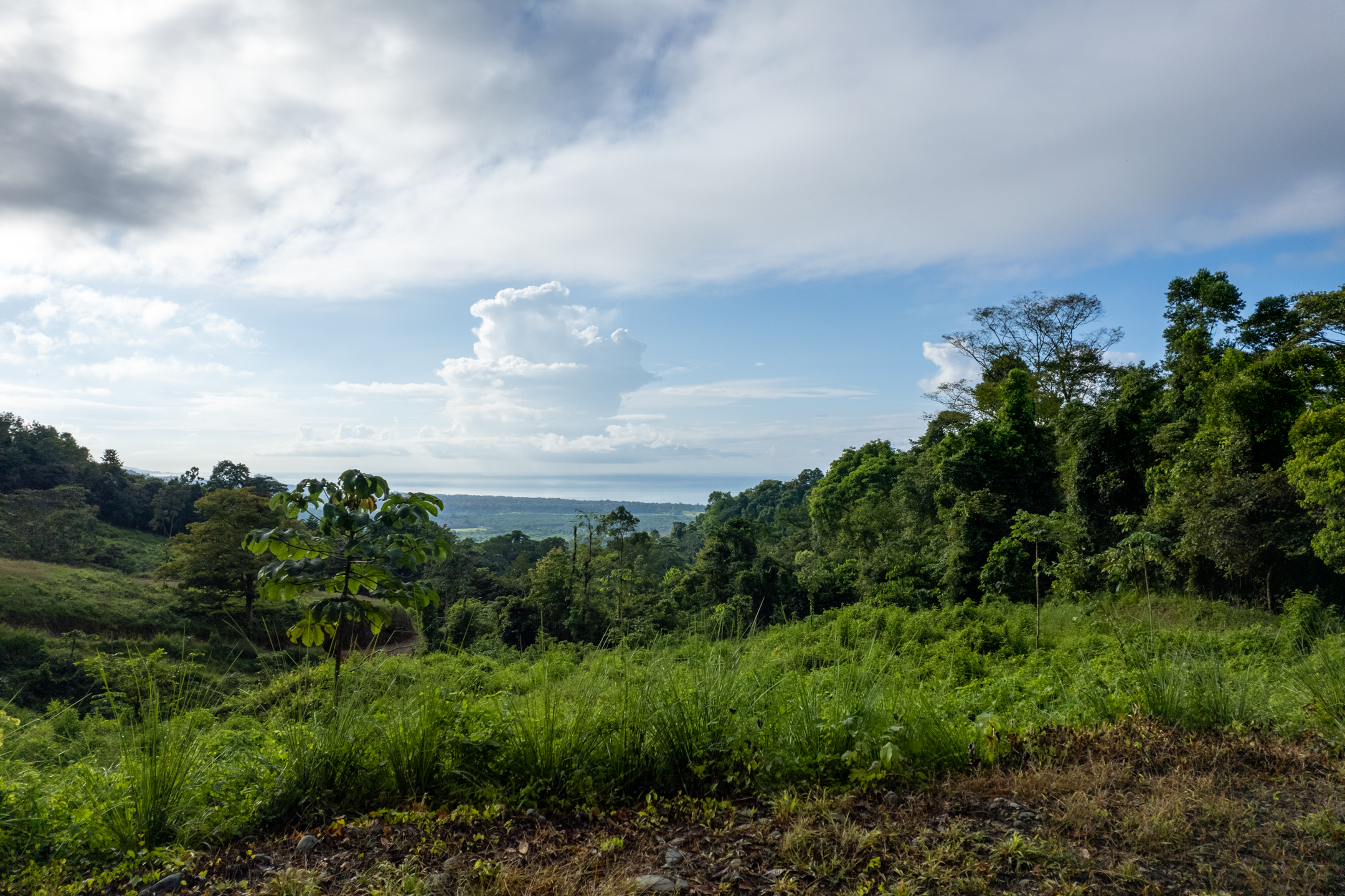 0 bed Land For Sale in Dominical, Puntarenas - thumb 16