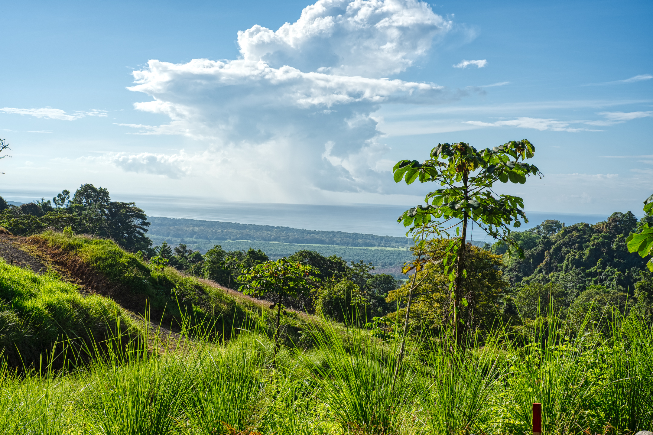 0 bed Land For Sale in Dominical, Puntarenas - thumb 14