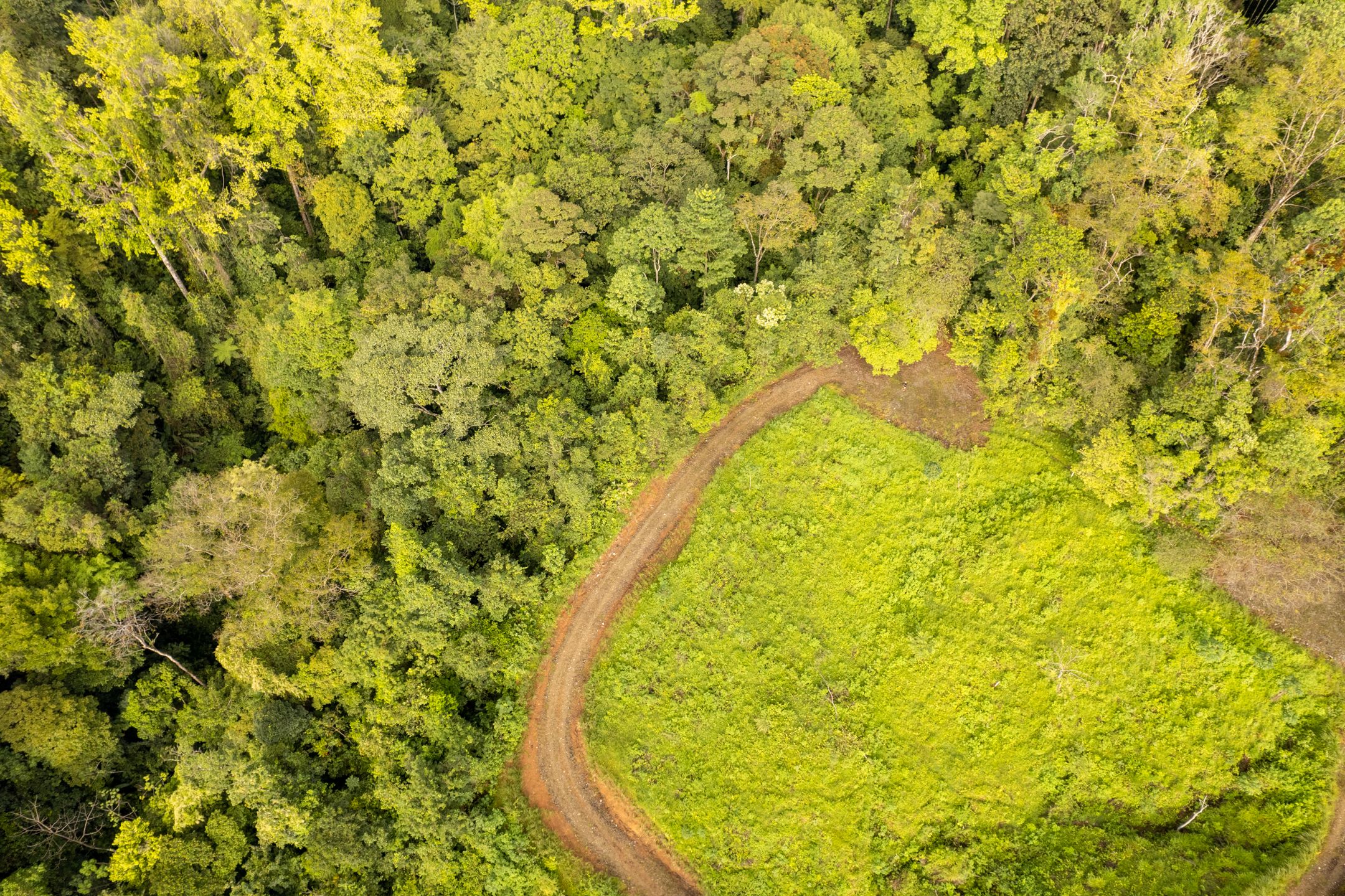 0 bed Land For Sale in Dominical, Puntarenas - thumb 10