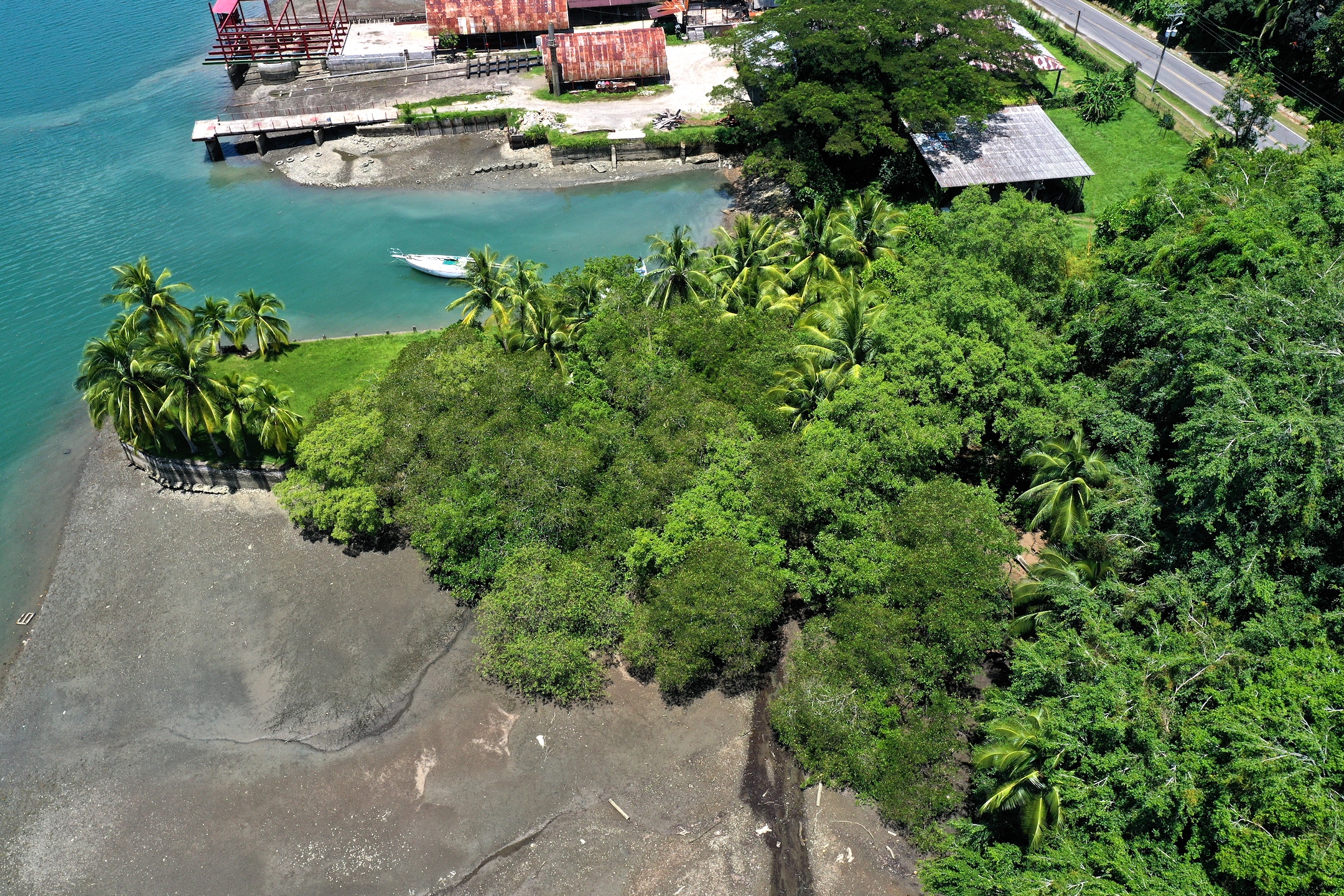 0 bed Land For Sale in Golfito, Puntarenas - thumb 12