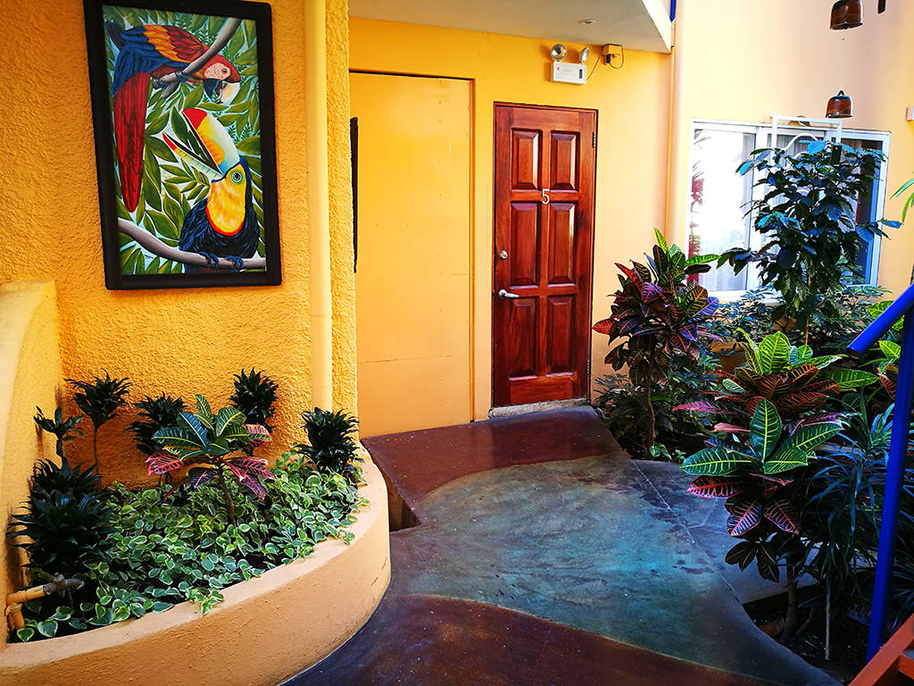 17 bed Hotel / Leisure For Sale in San Jose, San Jose - thumb 10