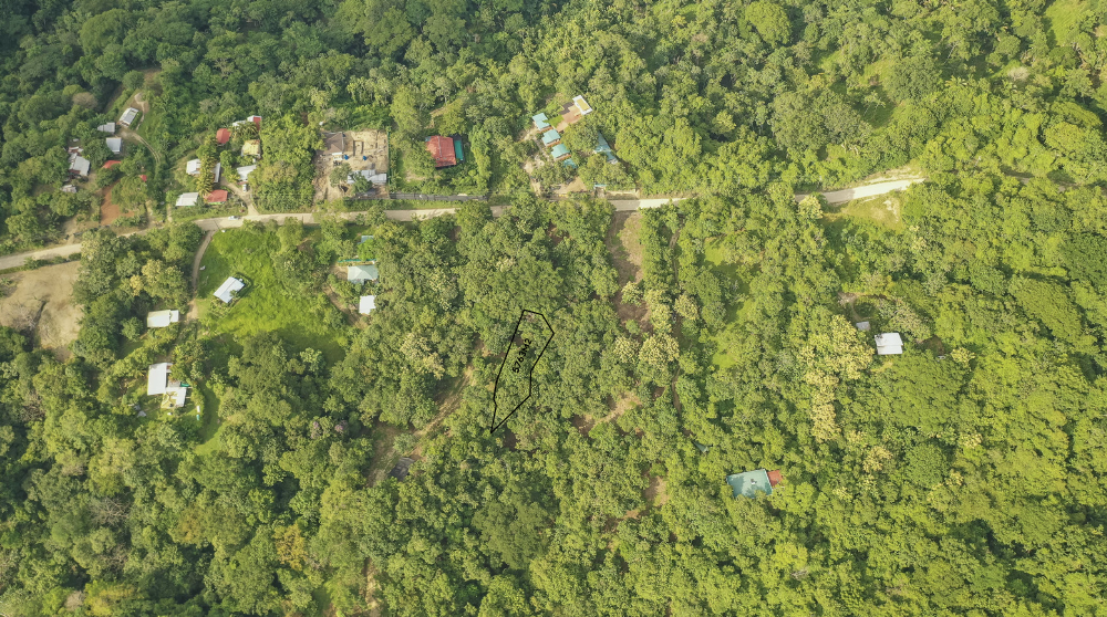 0 bed Land For Sale in Santiago, Puntarenas - thumb 2