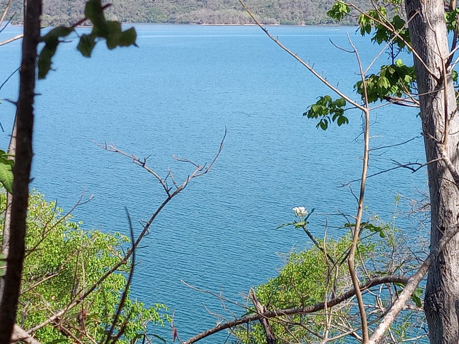 0 bed Land For Sale in Paquera, Puntarenas - thumb 4