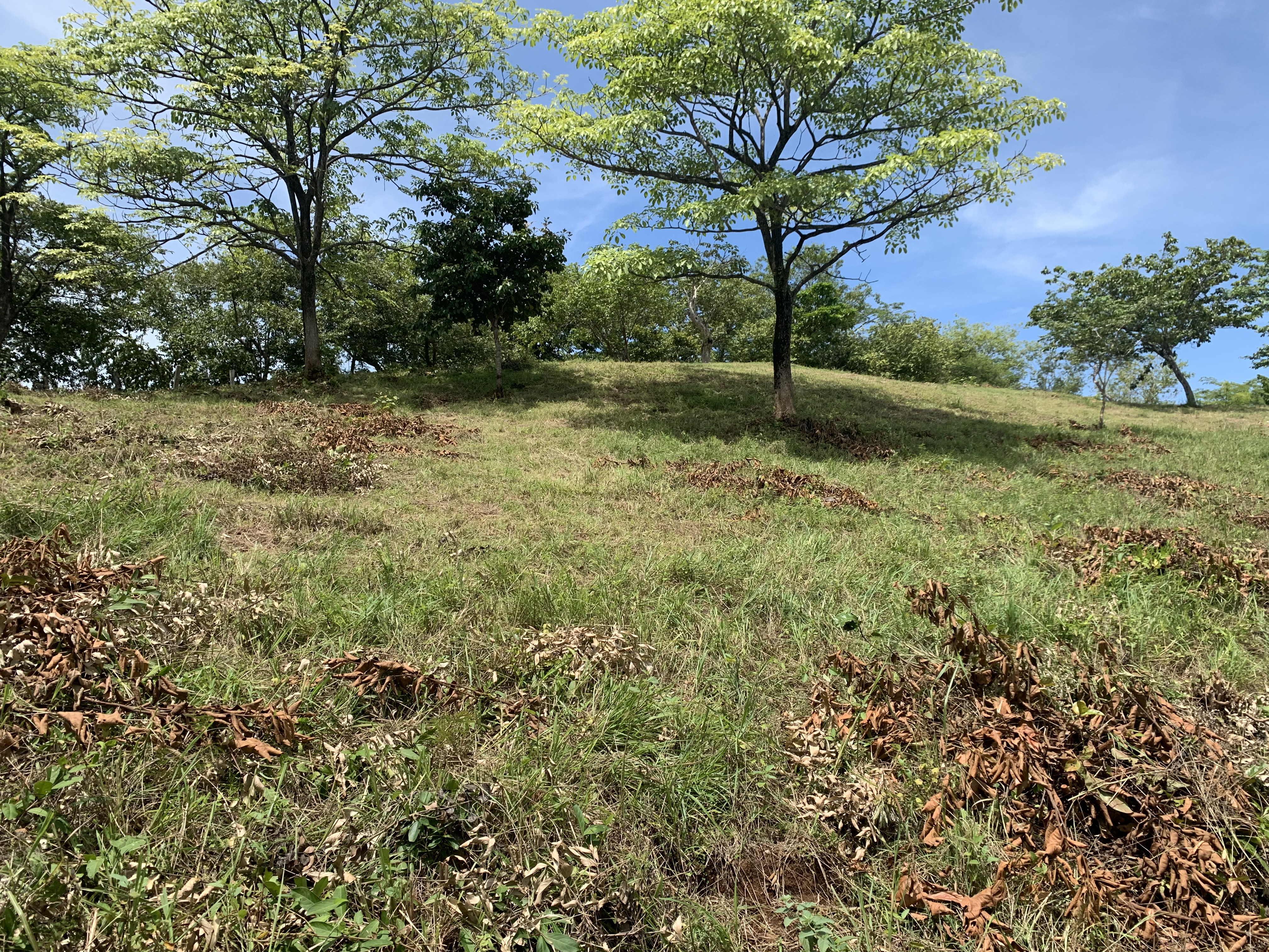 0 bed Land For Sale in Junquillal, Guanacaste - thumb 12