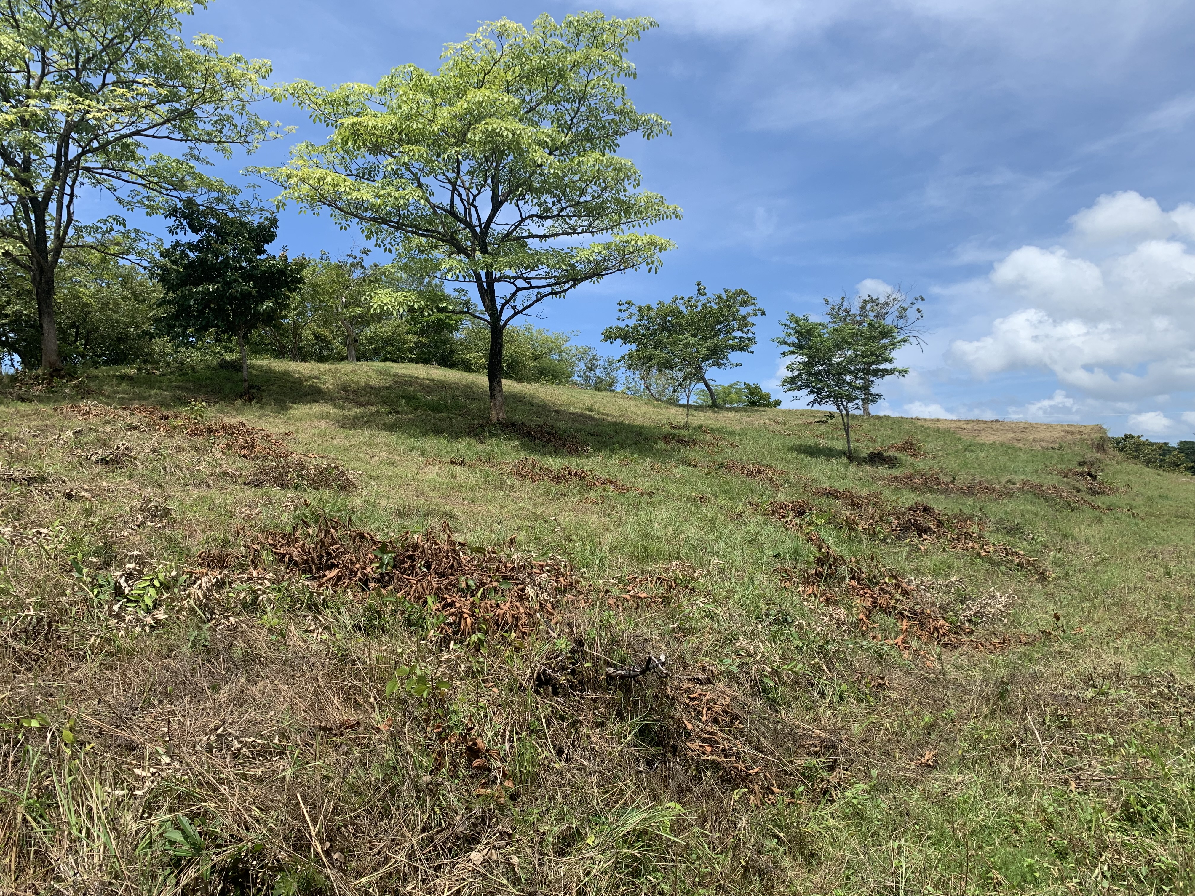 0 bed Land For Sale in Junquillal, Guanacaste - thumb 10