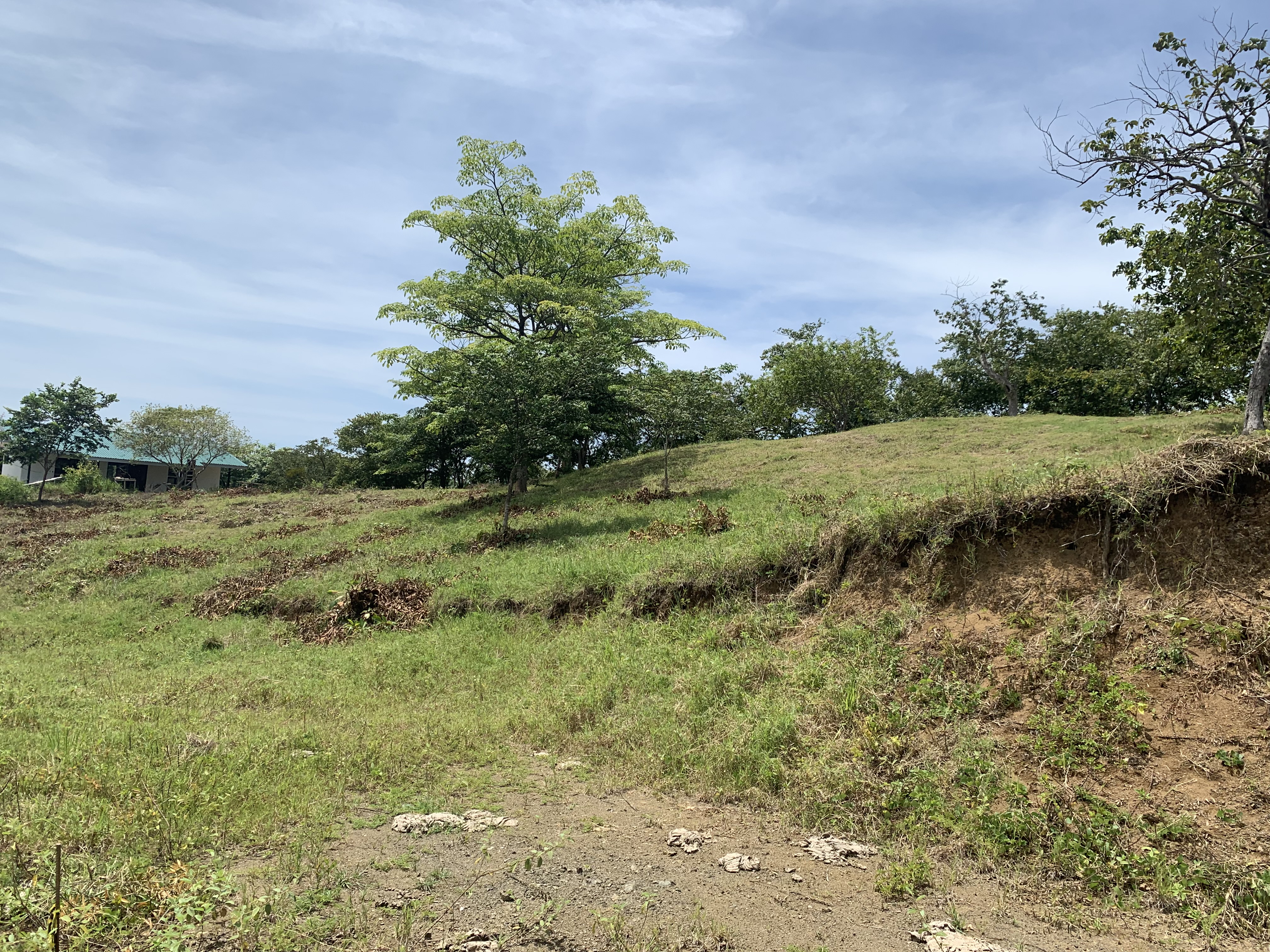 0 bed Land For Sale in Junquillal, Guanacaste - thumb 15
