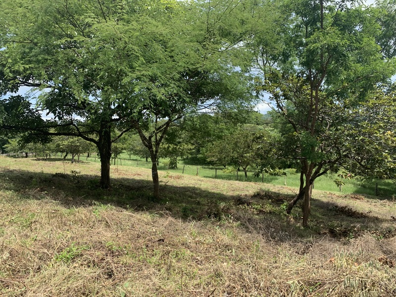 0 bed Land For Sale in Junquillal, Guanacaste - thumb 14
