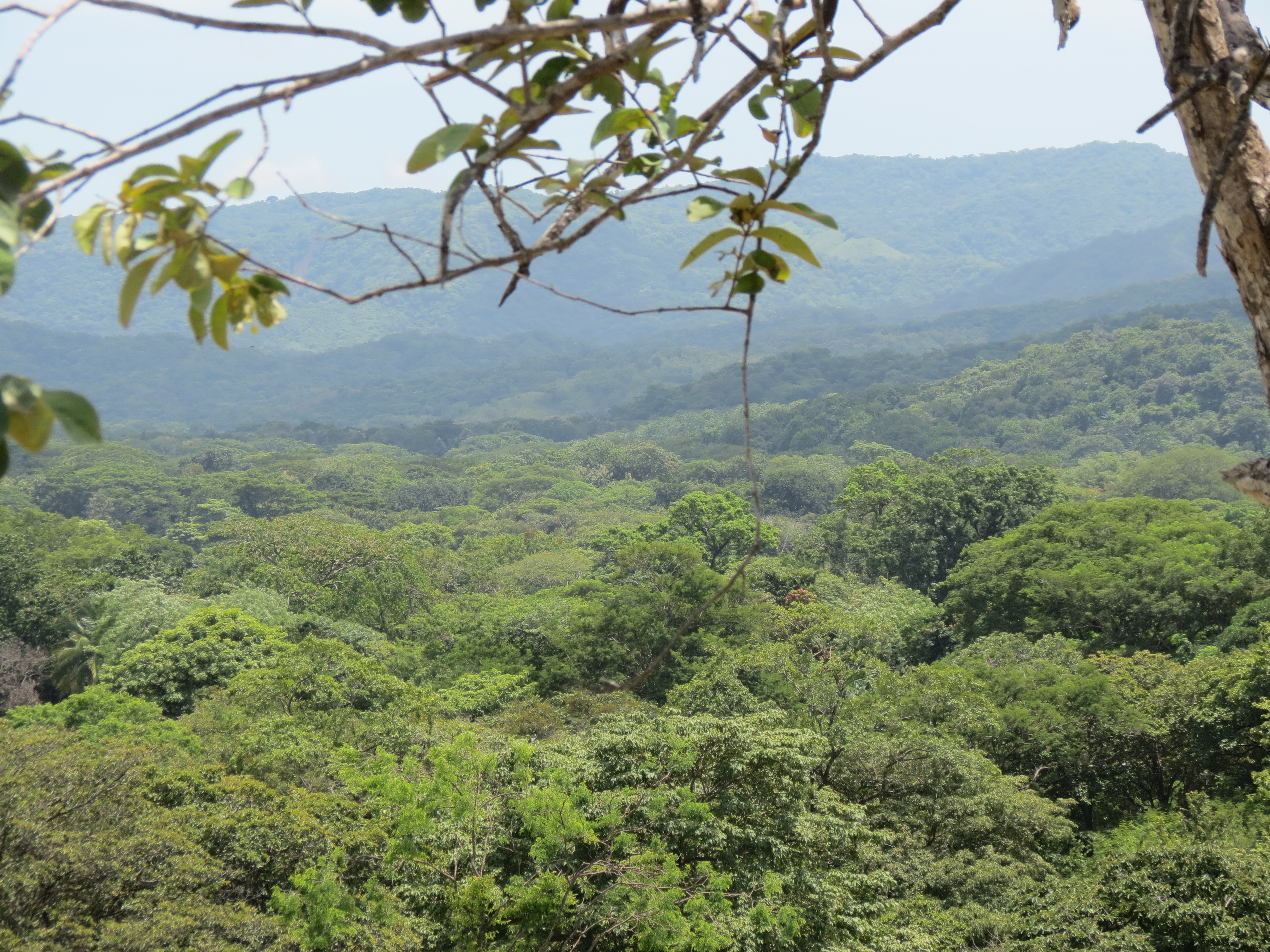 0 bed Land For Sale in Junquillal, Guanacaste - thumb 1