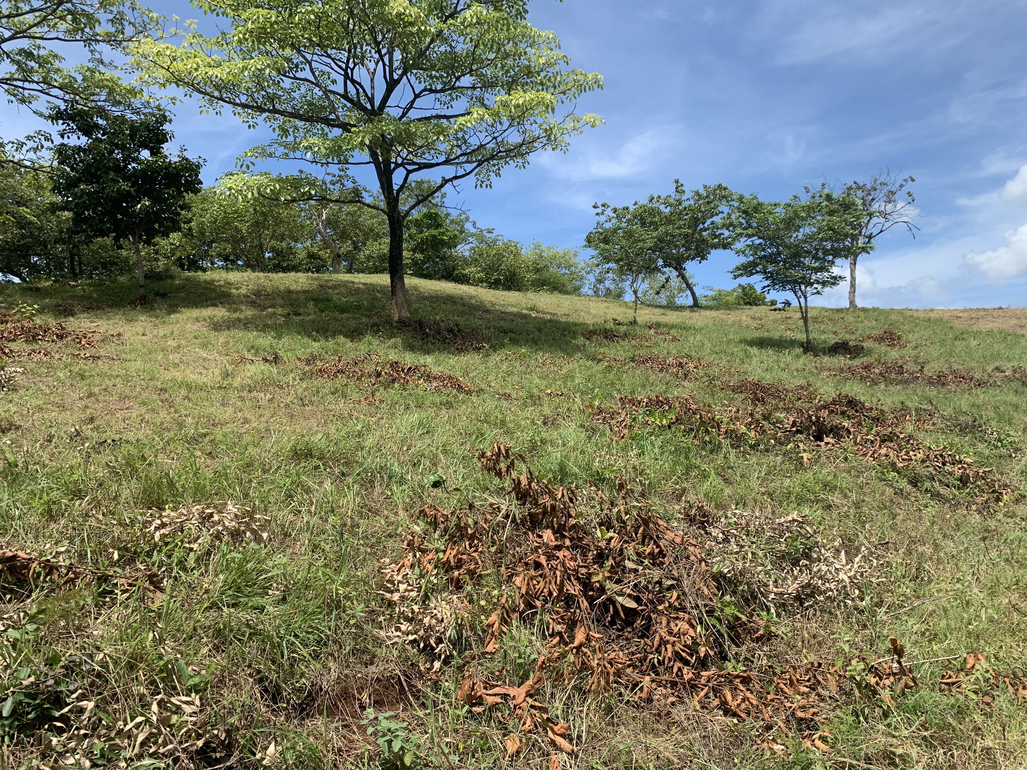 0 bed Land For Sale in Junquillal, Guanacaste - thumb 13