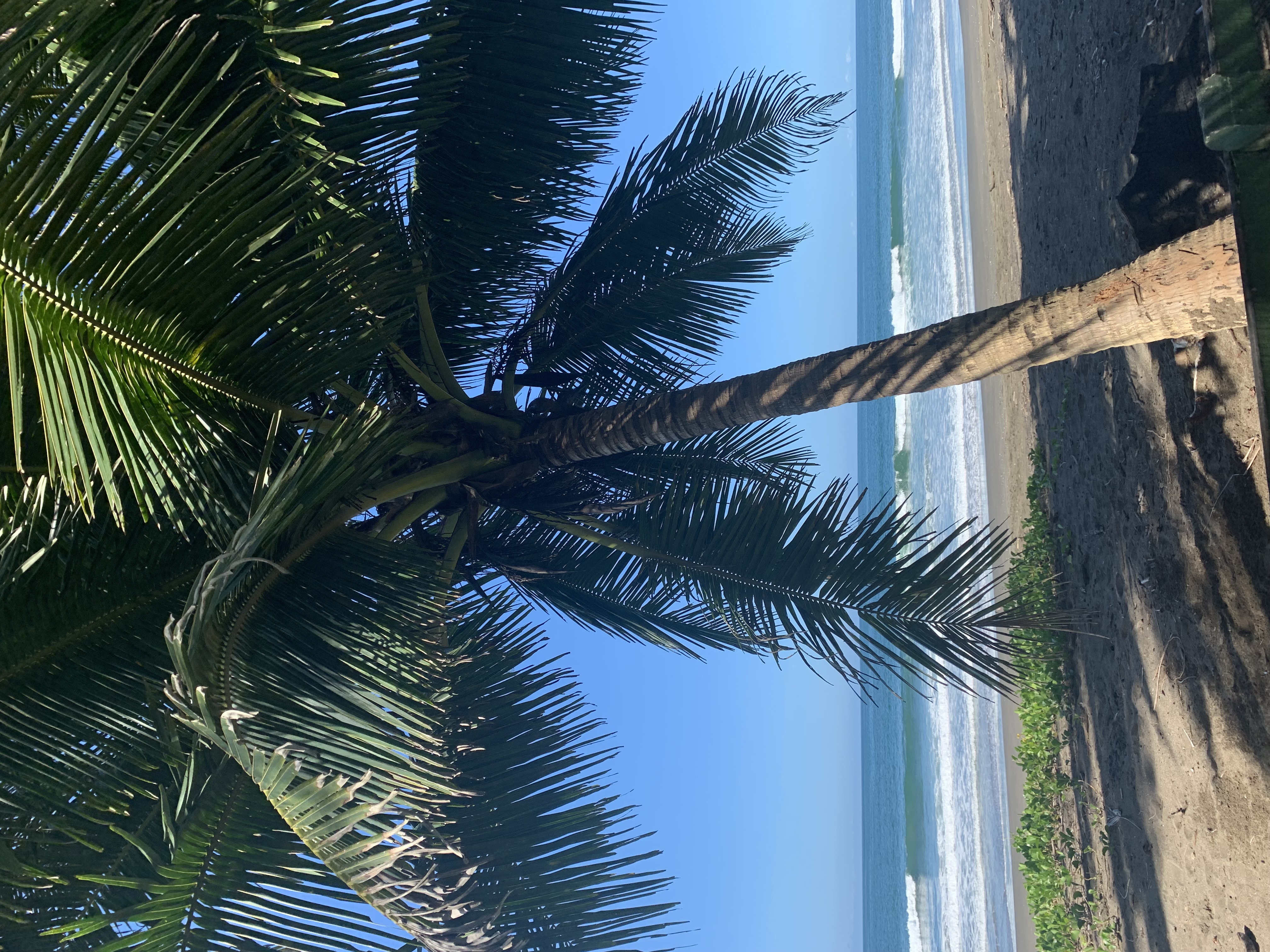 0 bed Land For Sale in Junquillal, Guanacaste - thumb 19