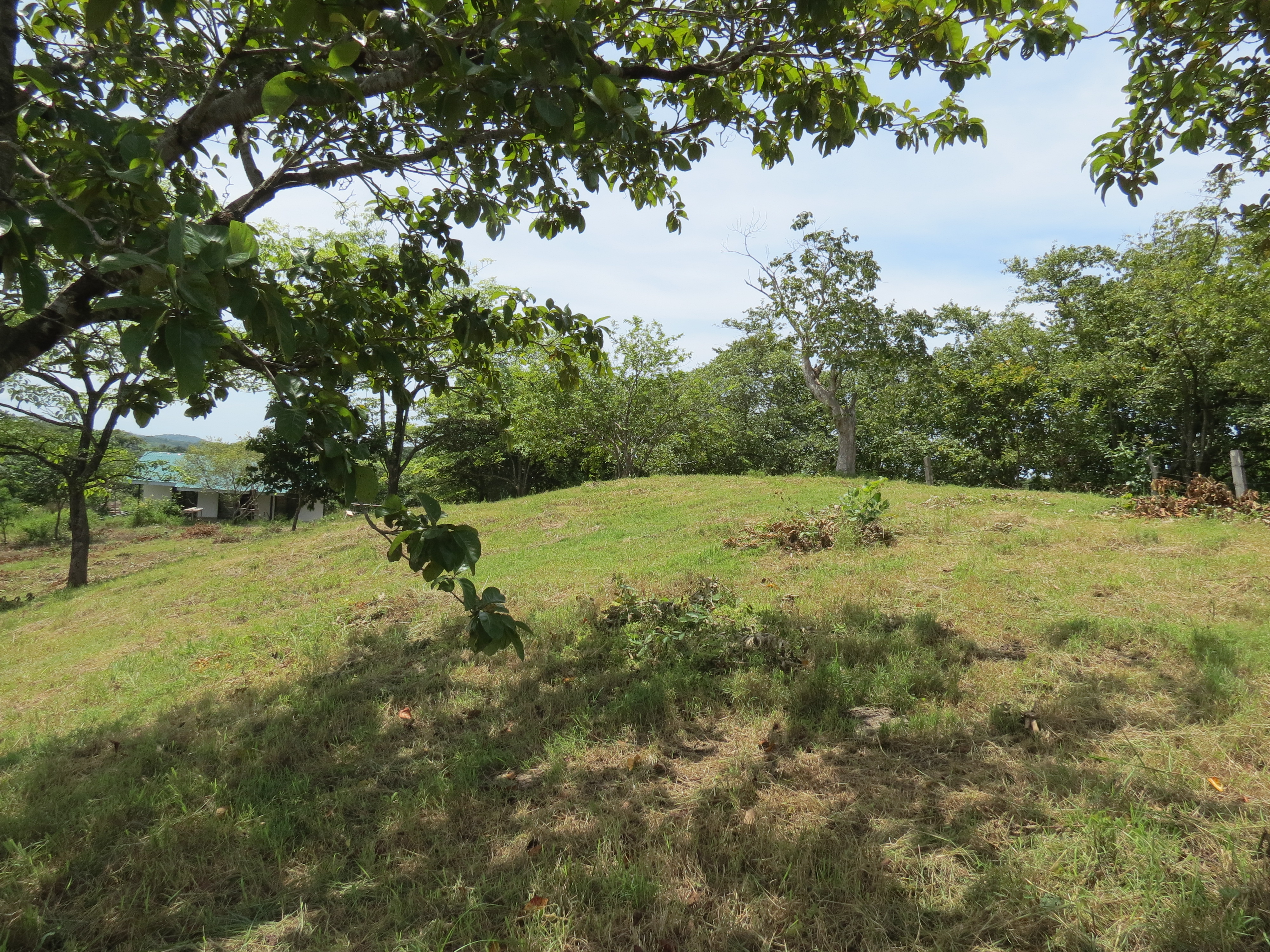 0 bed Land For Sale in Junquillal, Guanacaste - thumb 7