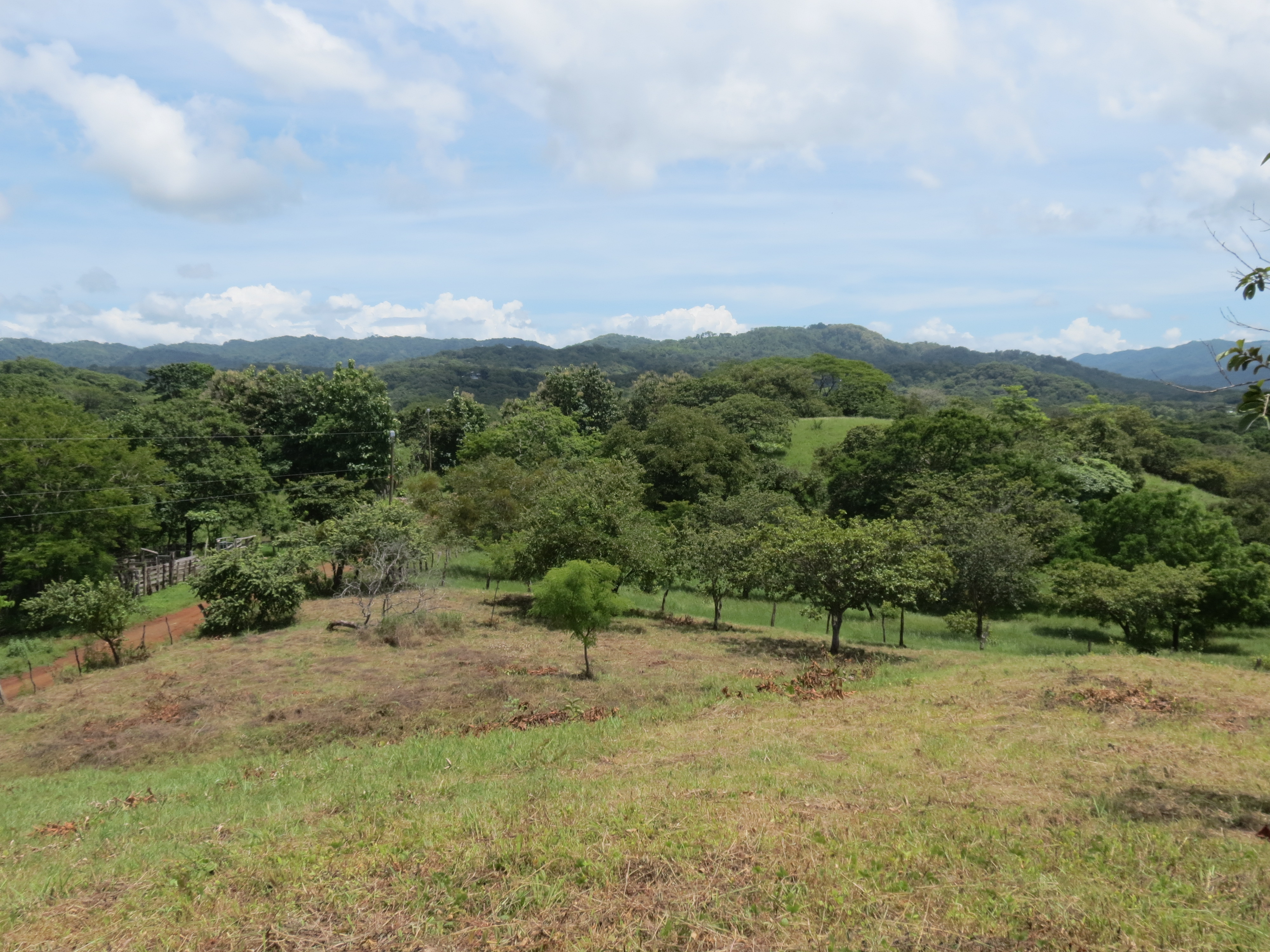 0 bed Land For Sale in Junquillal, Guanacaste - thumb 5