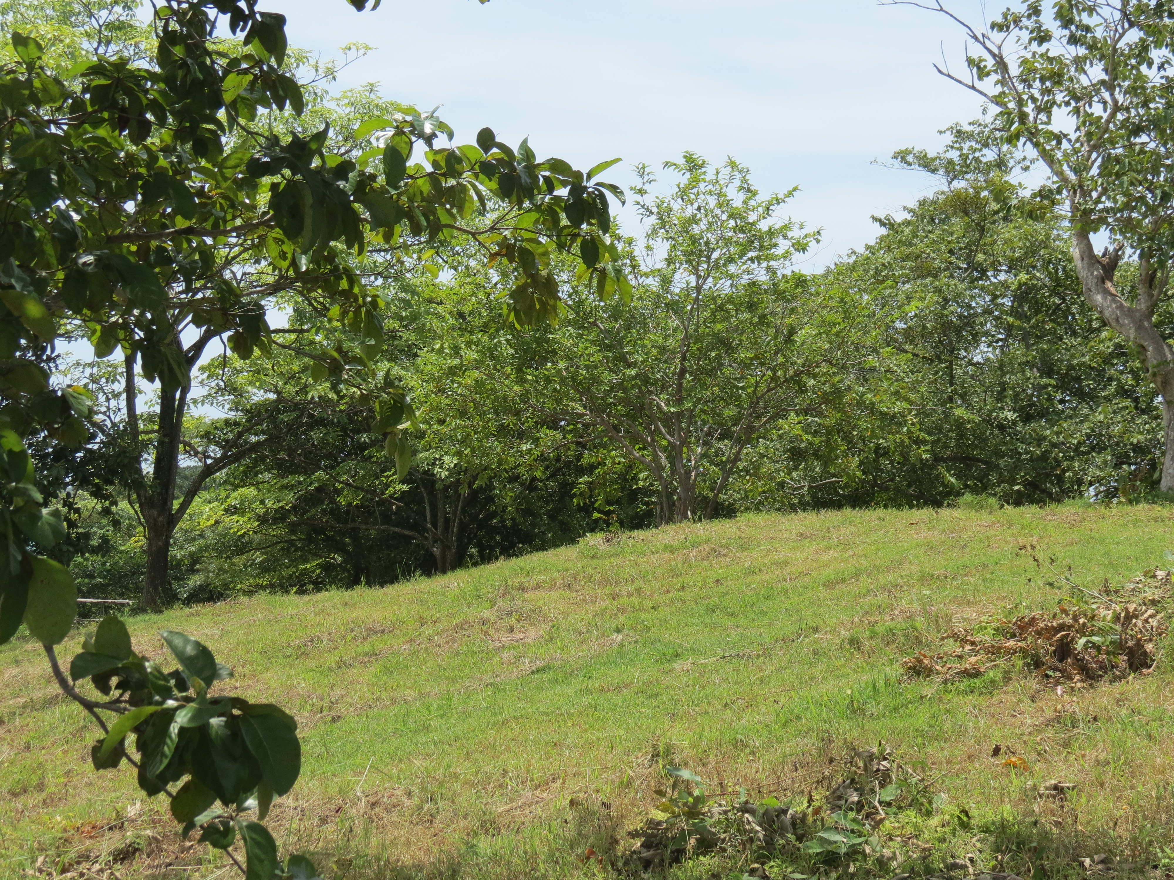 0 bed Land For Sale in Junquillal, Guanacaste - thumb 6