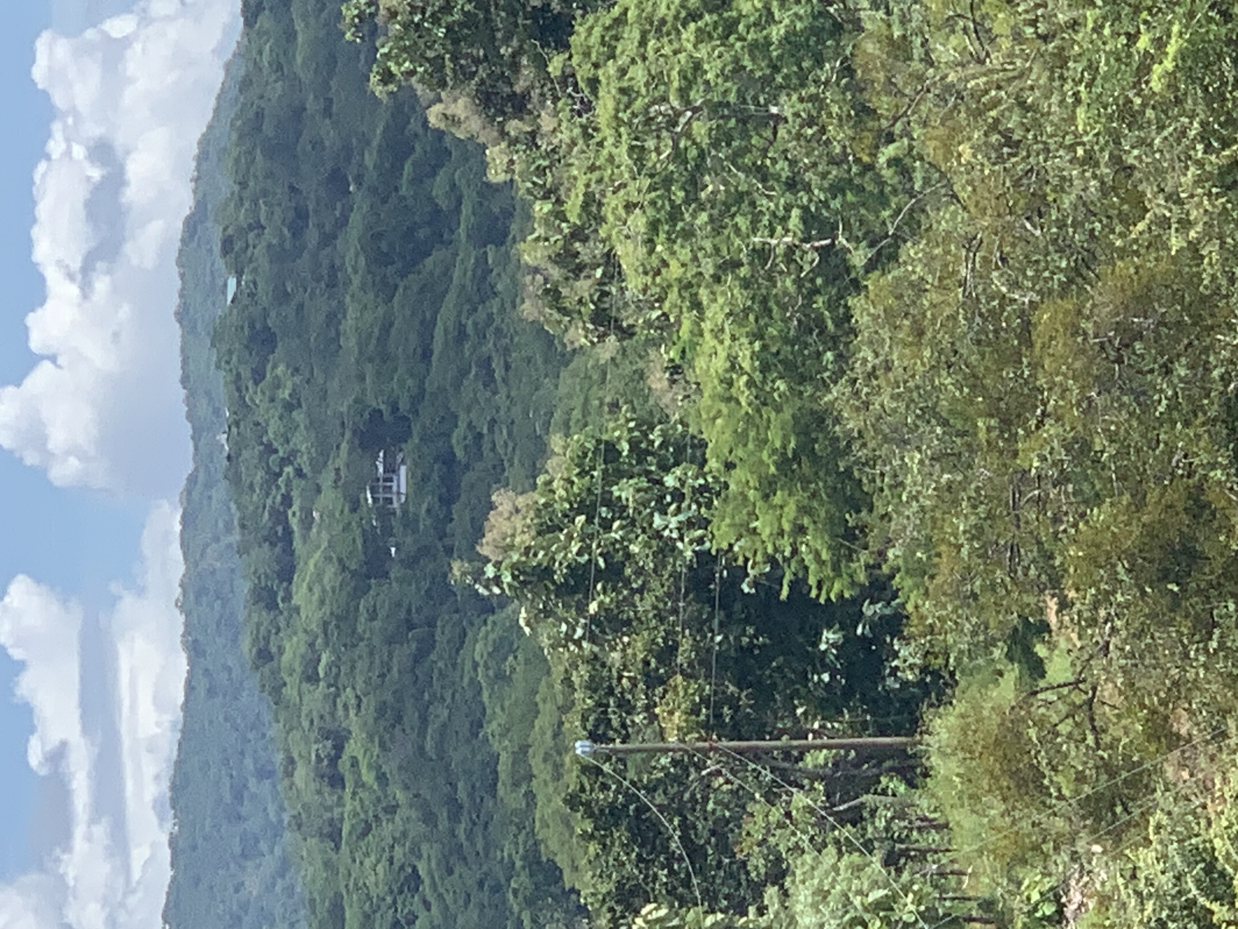 0 bed Land For Sale in Junquillal, Guanacaste - thumb 3
