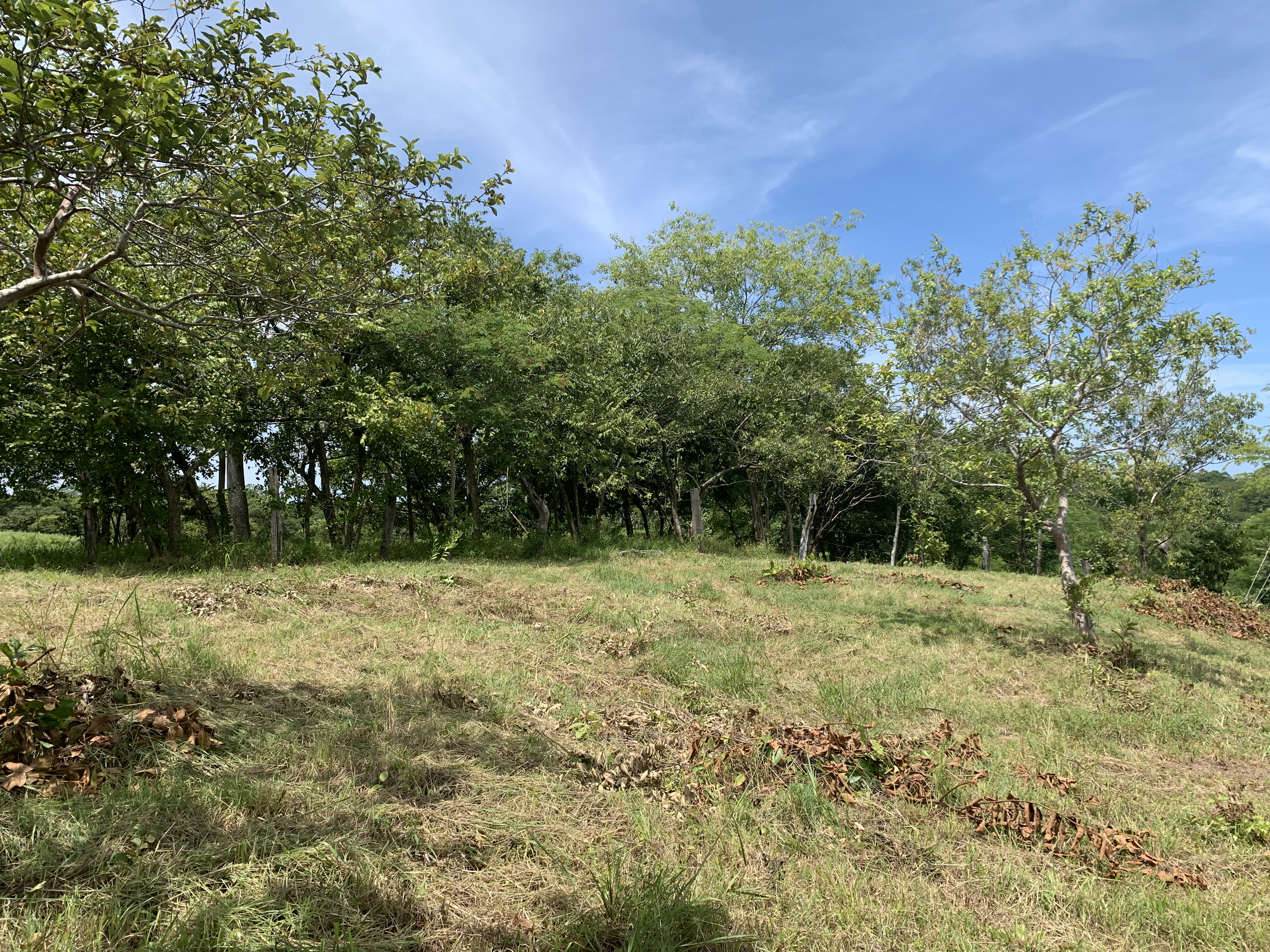 0 bed Land For Sale in Junquillal, Guanacaste - thumb 9
