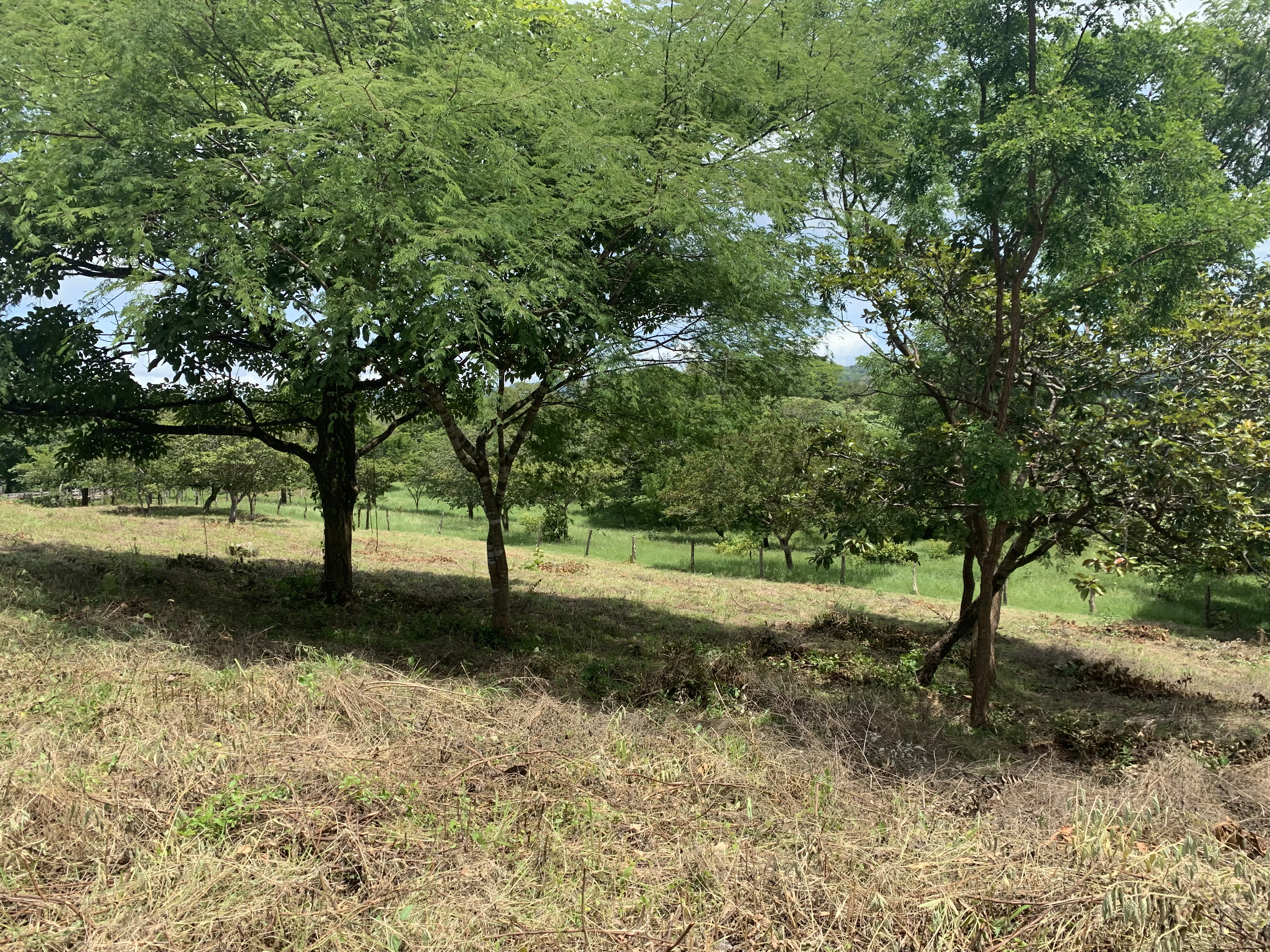 0 bed Land For Sale in Junquillal, Guanacaste - thumb 20